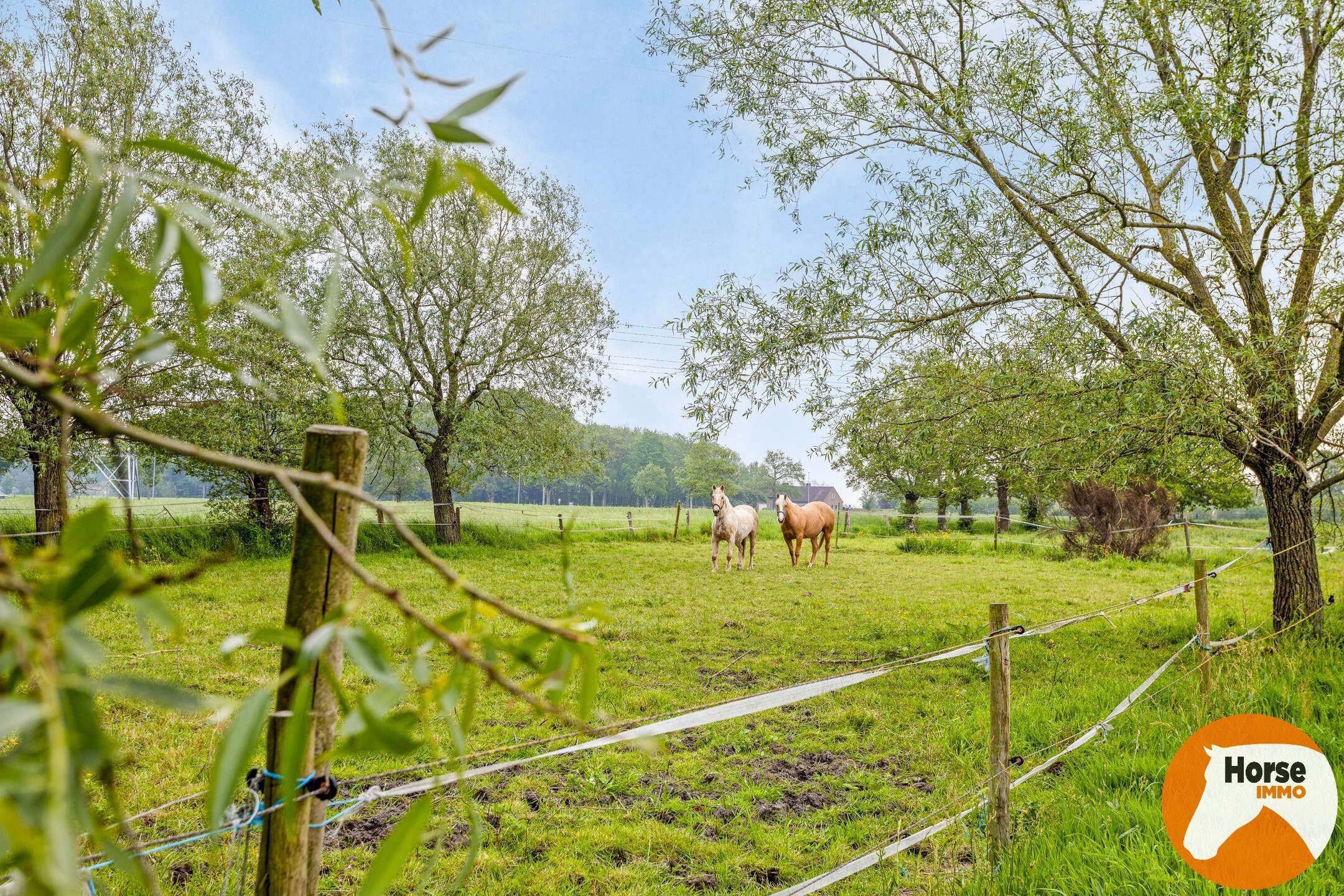 JABBEKE - Luxueuze paardenaccommodatie met woning foto 42