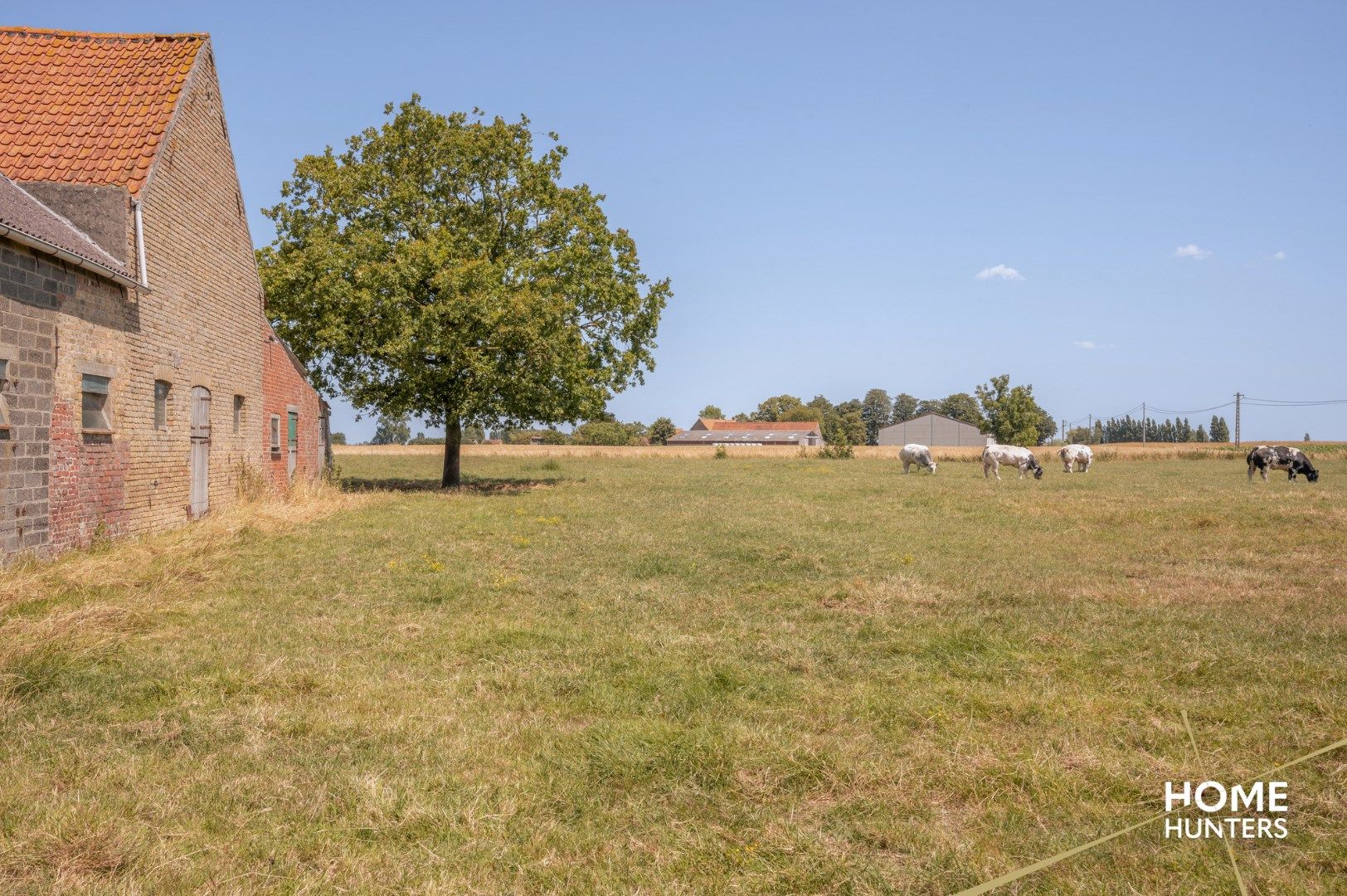 Prachtige U-hoeve op idyllische locatie met bouwvergunning te Izenberge  foto 7