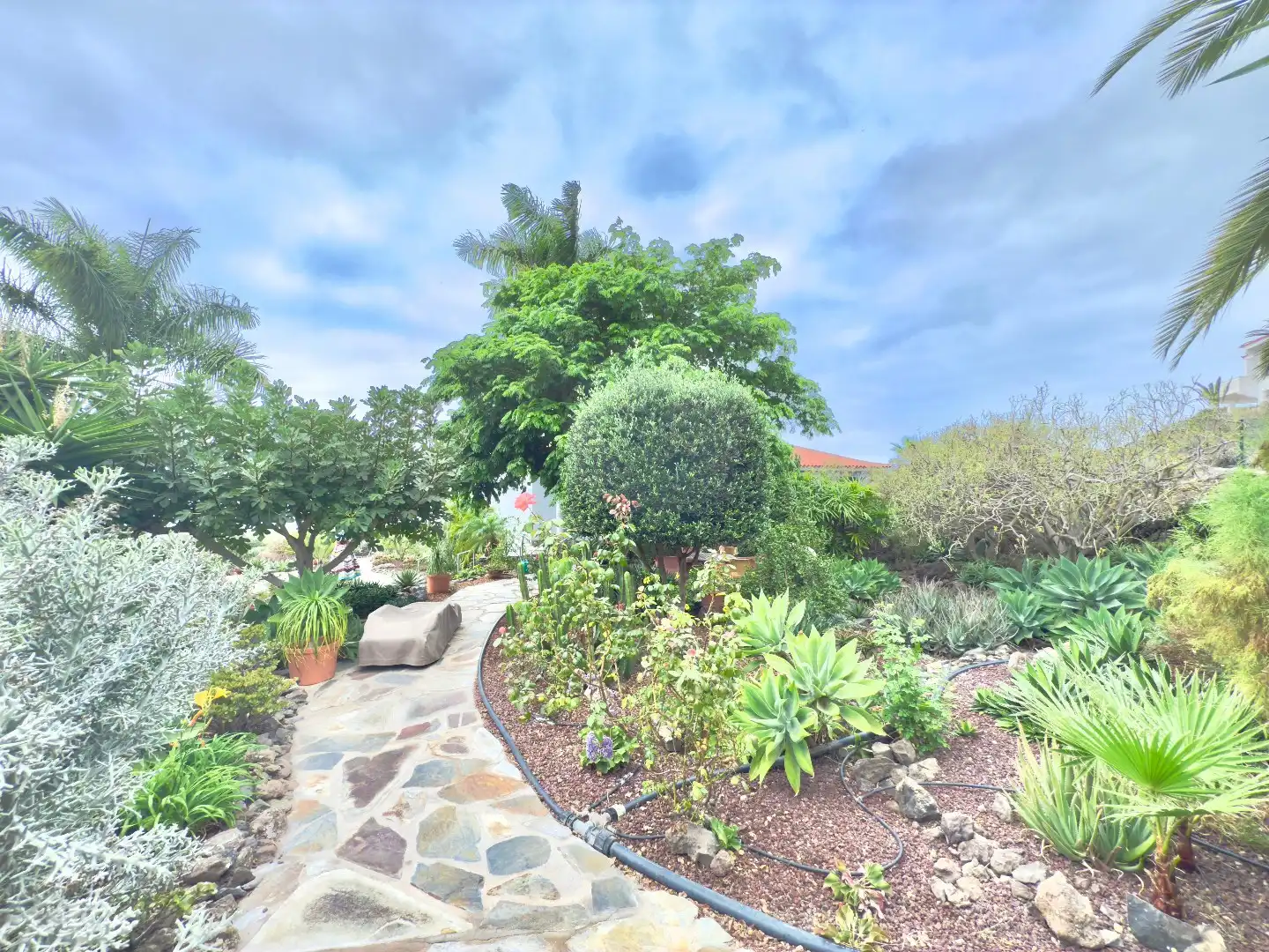 Luxe villa met panoramisch zeezicht  foto 12