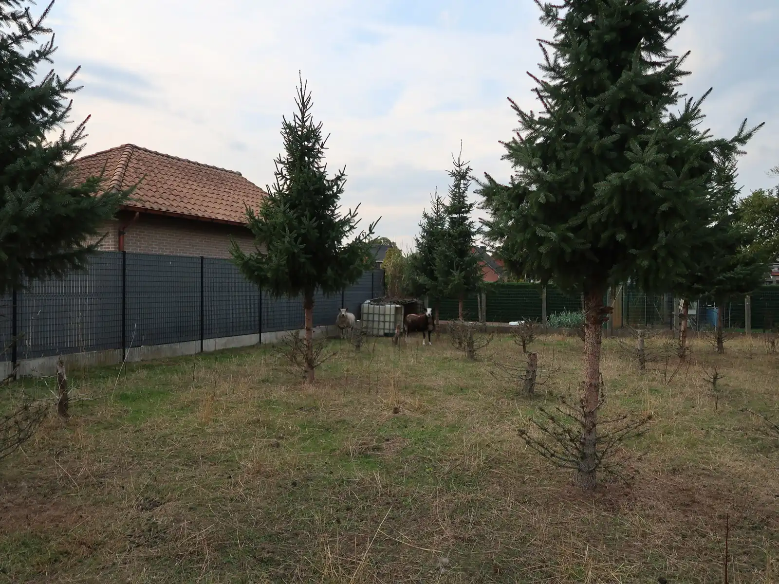 UNIEKE KANS - groot perceel 770m² open bebouwing te WESTERLO foto 7