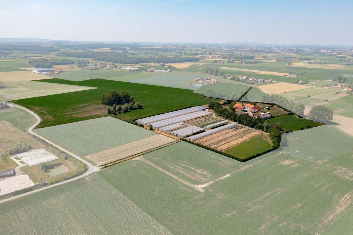 Zeer mooi gelegen hoeve met aanpalende landbouwgronden te koop te West-Vleteren foto 11
