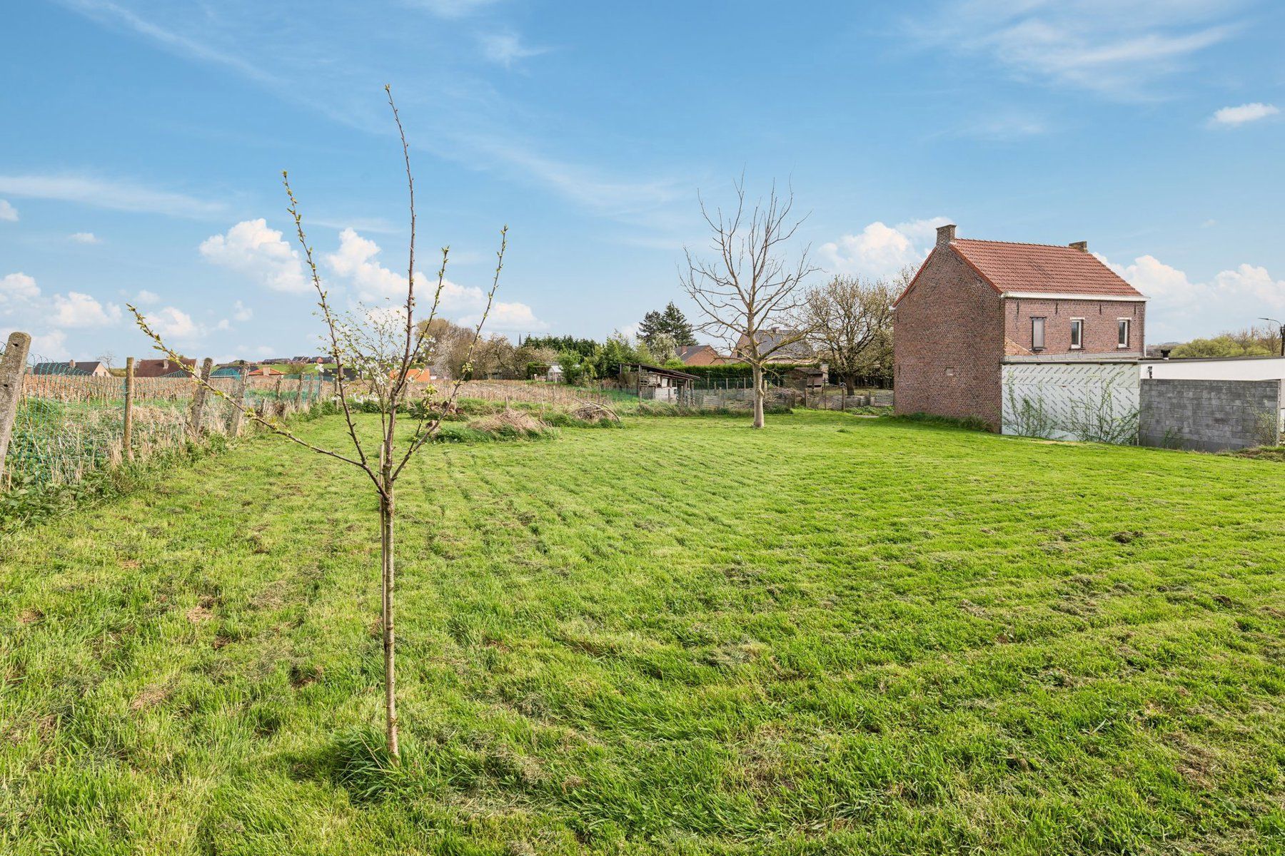 Landelijk gelegen bouwgrond voor OB foto 5