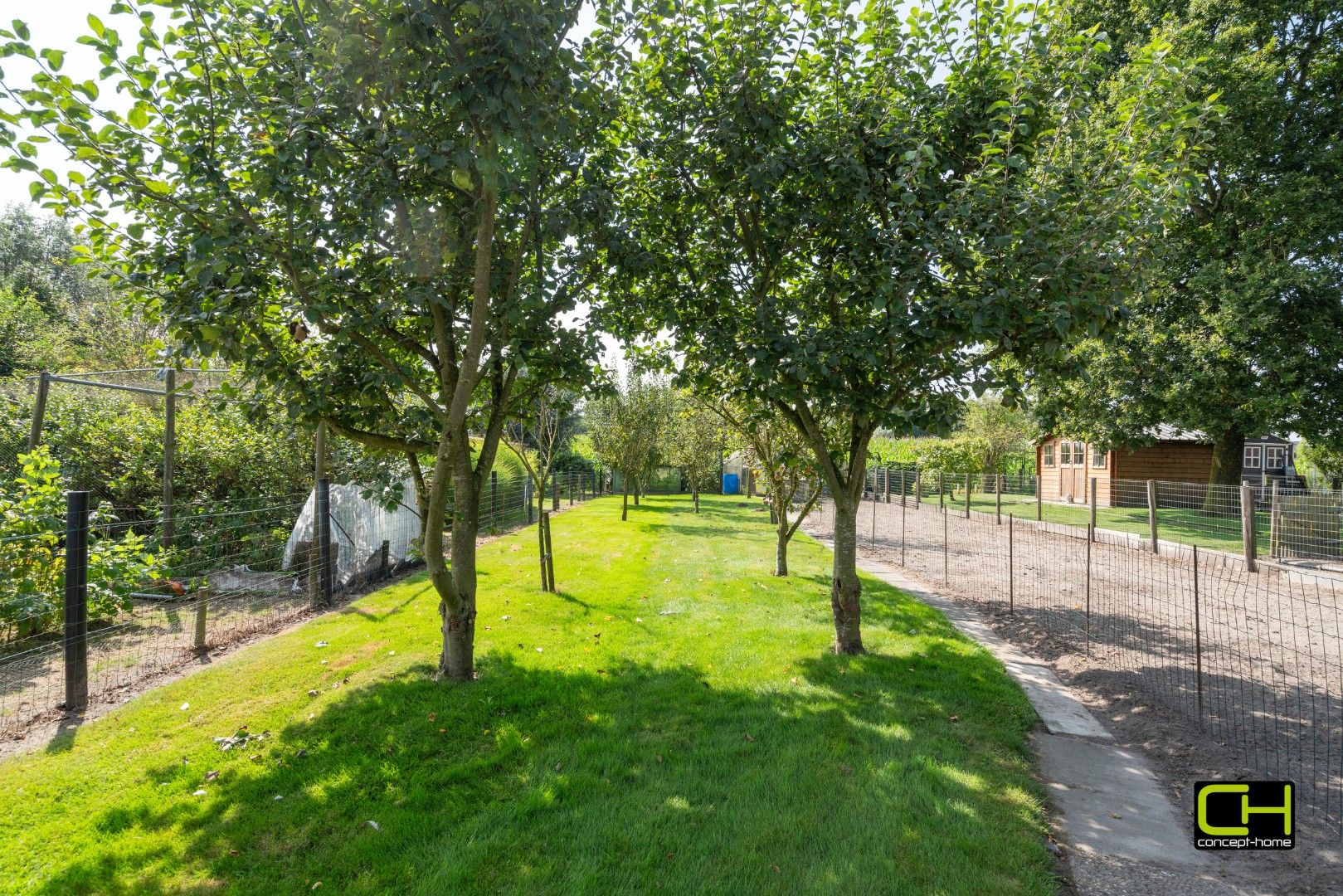 Open bebouwing met drie slaapkamers te koop in Zomergem foto 26