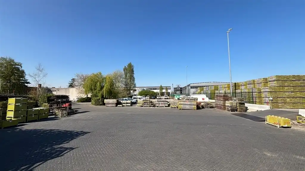 AVEN ACKERS 10 VERREBROEK foto 12