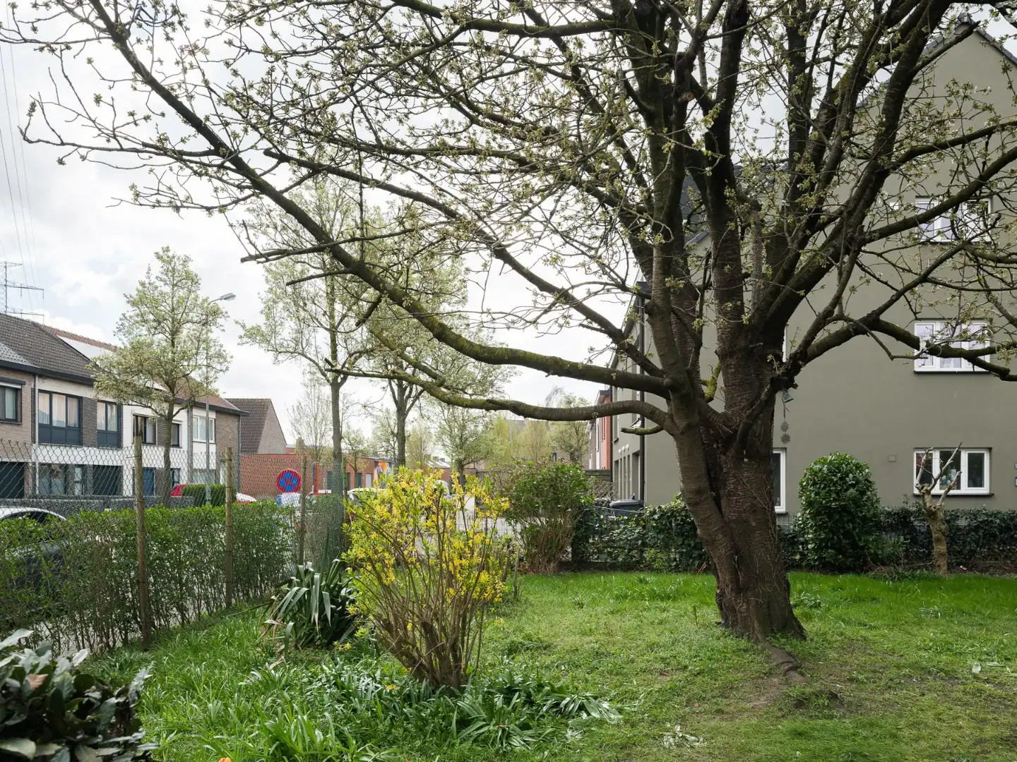 Bouwgrond met potentieel in het charmante Wondelgem foto 4