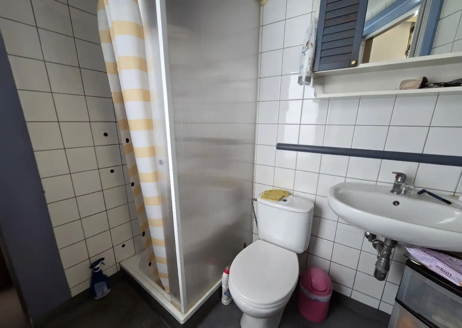 Halfopen renovatiewoning op topligging in Muizen foto 6