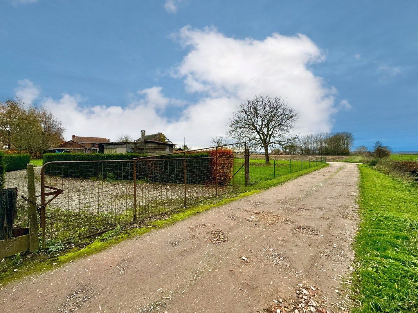 RUIME WONING OP 1777M² MET 4 SLPKS, GARAGE EN PRACHTIGE VERZICHTEN foto 13