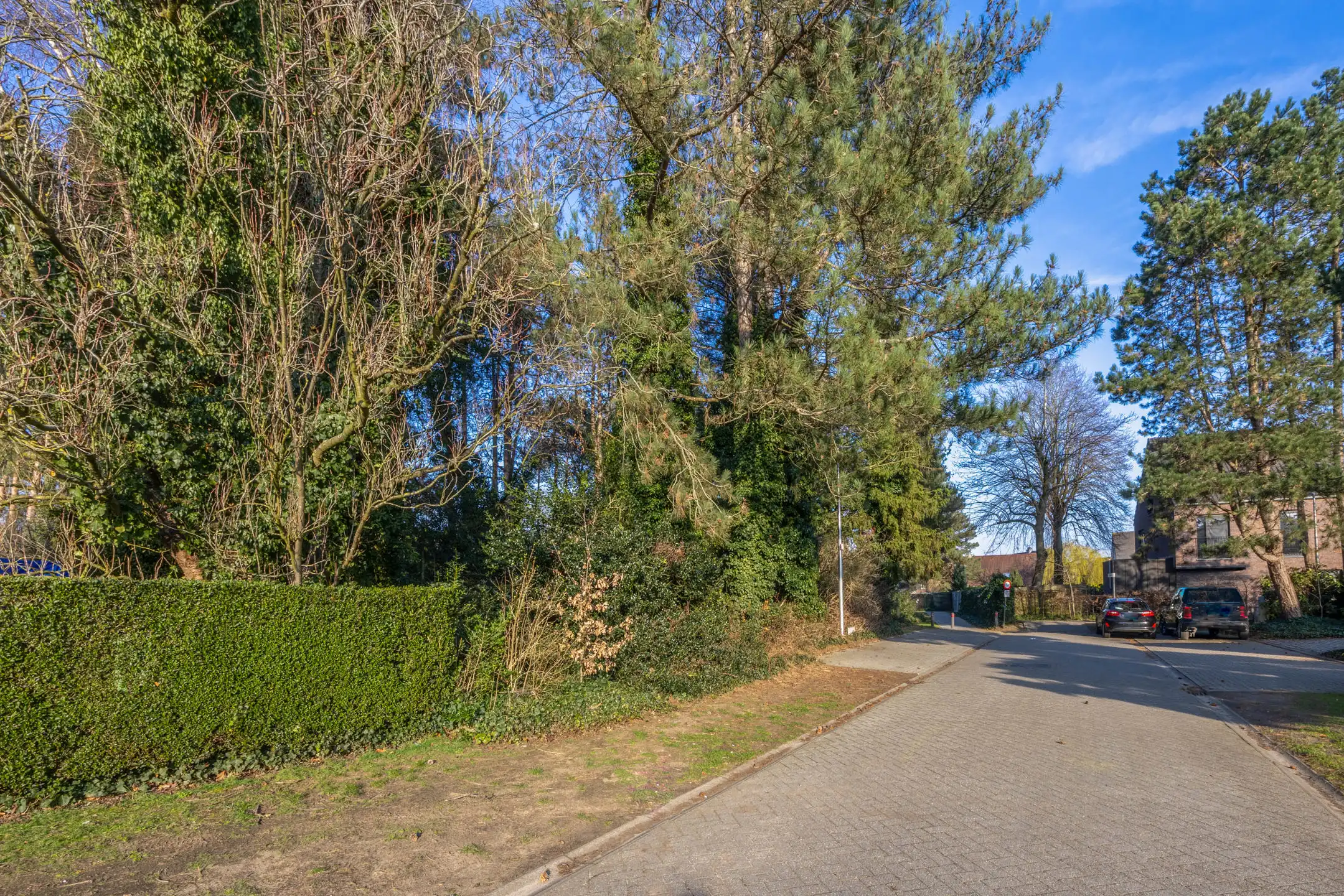 Prachtige bouwgrond van 735m² in een doodlopende straat.  foto 3