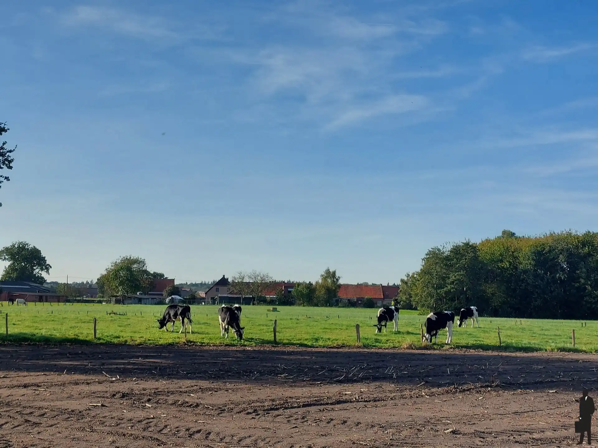 Zeer recente (nieuwbouw 2 jaar oud) energiezuinige halfopen bebouwing met 3 slaapkamers, nieuwste technieken zoals warmtepomp, zonnepanelen, … en open zicht op veel groen van de omliggende landerijen. foto 20