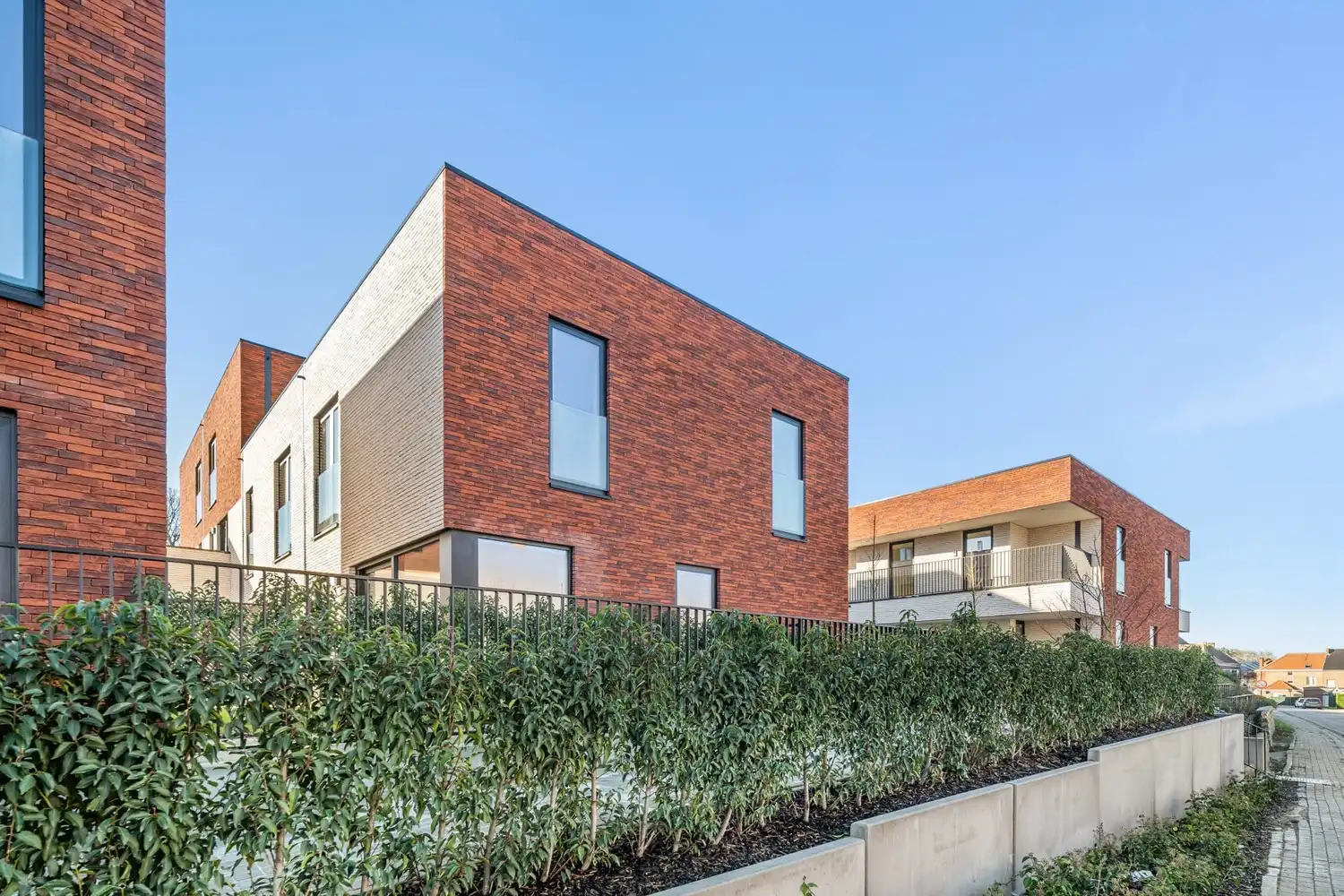 Rijwoning 3: Instapklare nieuwbouw rijwoning met 3 slaapkamers en zonnig terras in het centrum van Borgloon foto 2