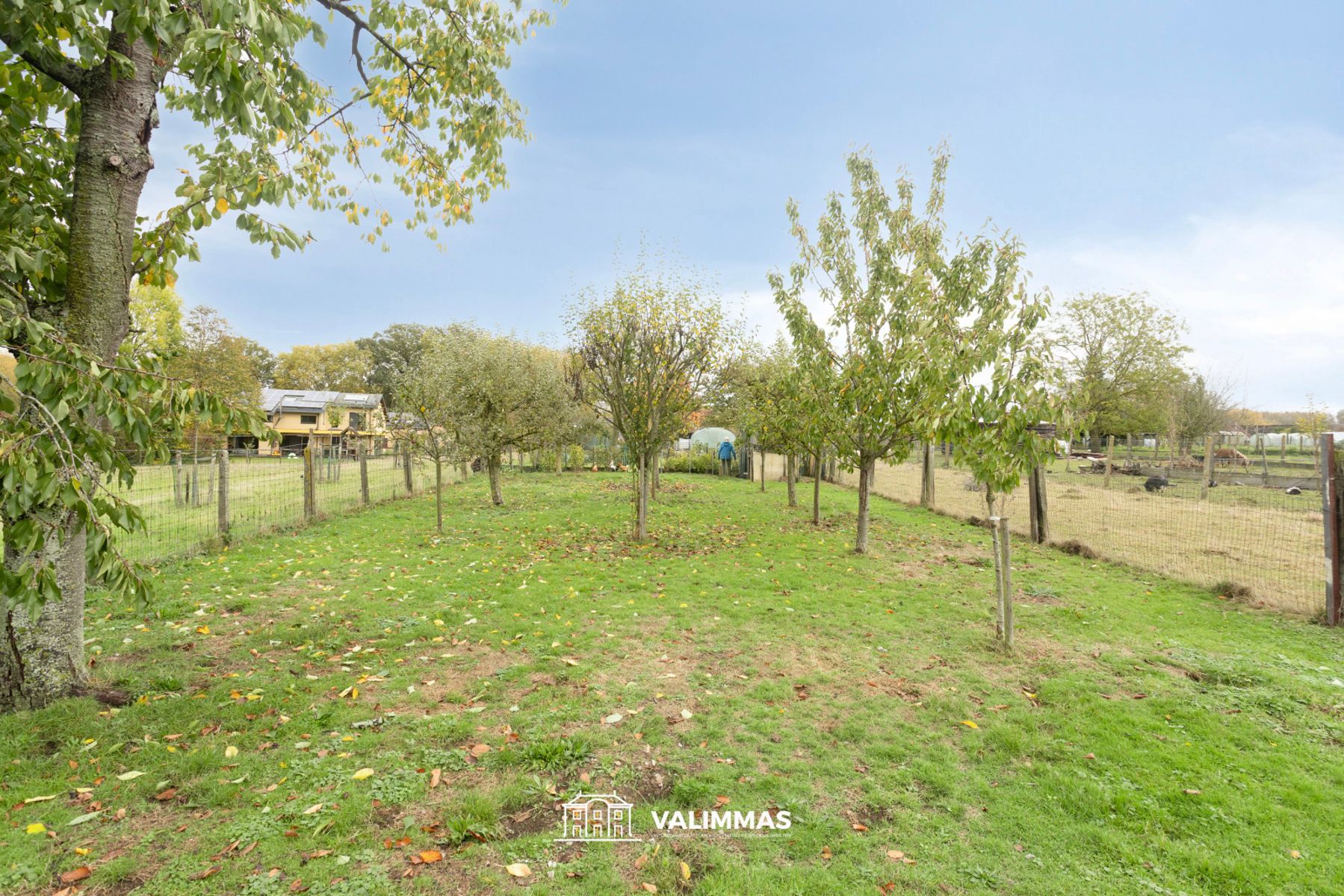 Prachtig gelegen gerenoveerde driegevelwoning met grote tuin foto 23