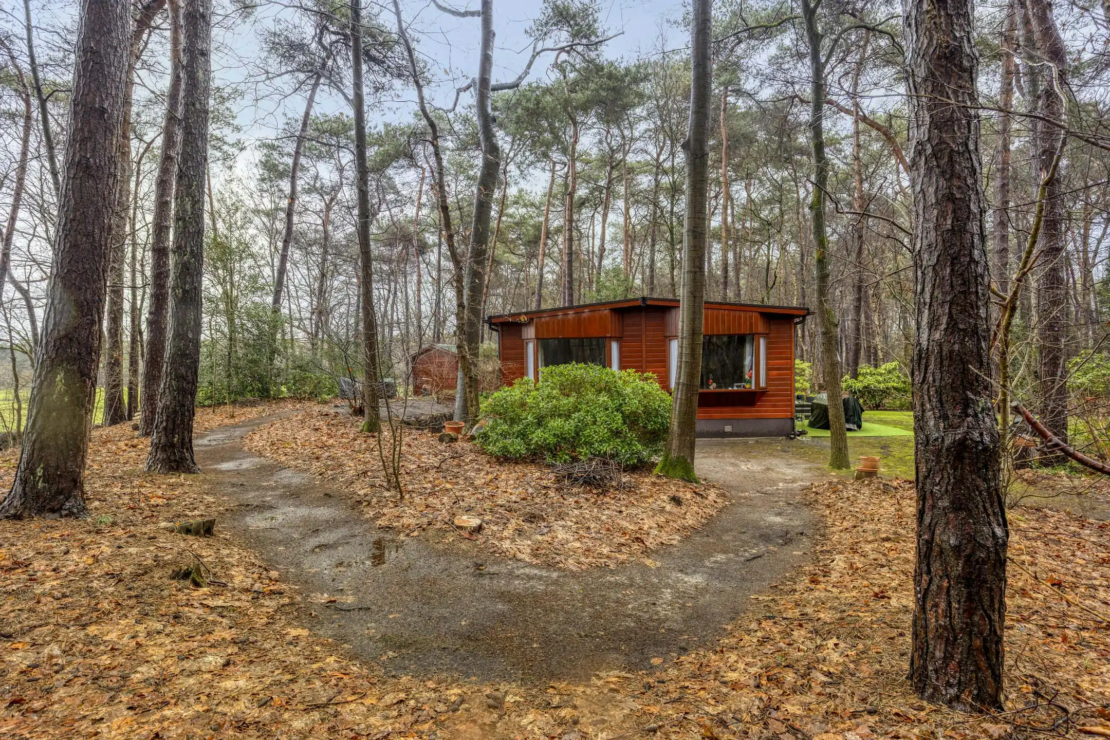 Verzorgde woning op prachtige bosgrond te koop in Wuustwezel foto 3