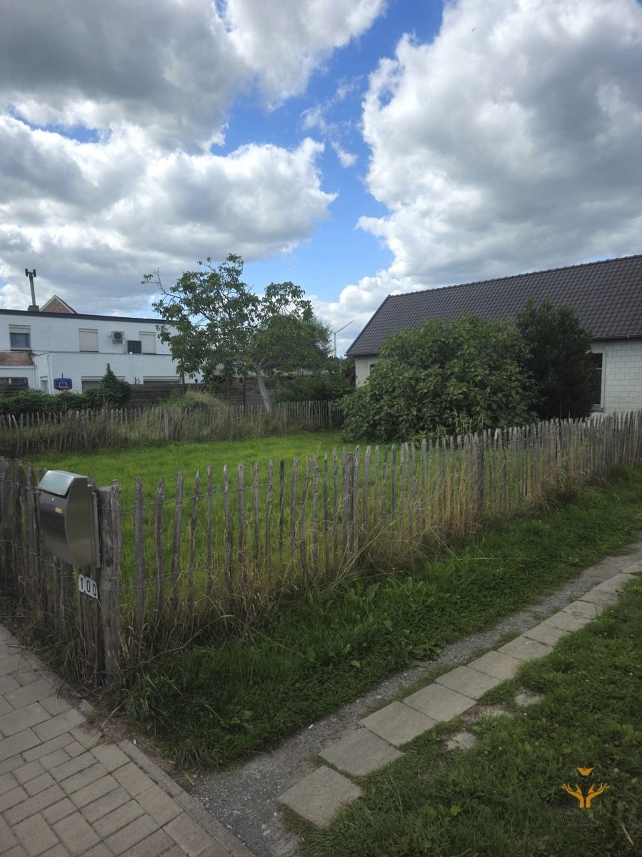 Te huur in Zele – Instapklare, energiezuinige woning met tuin foto 12