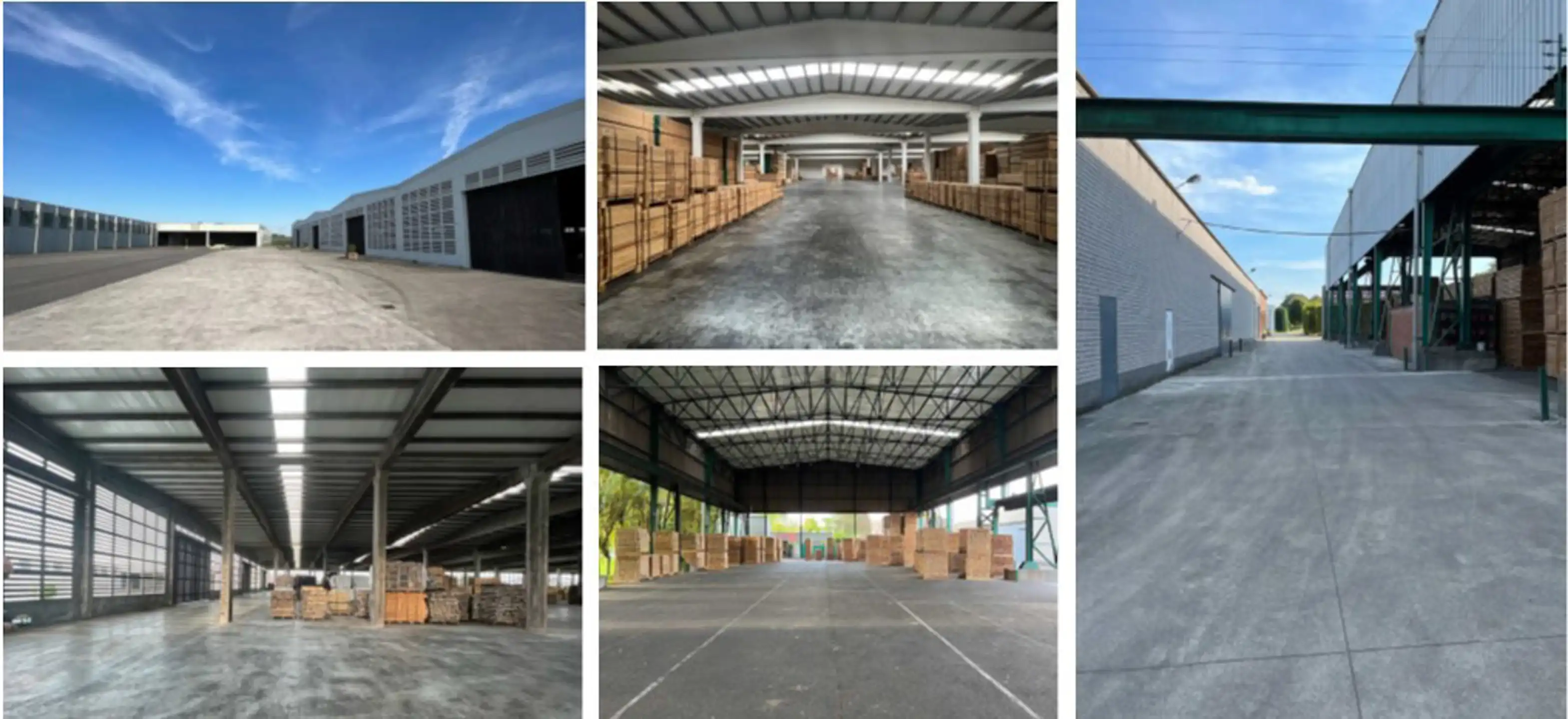 Te Koop : Nieuwbouwmagazijnen vanaf 142m²  op voormalige Martal-site in Sint-Katelijne-Waver. foto 7