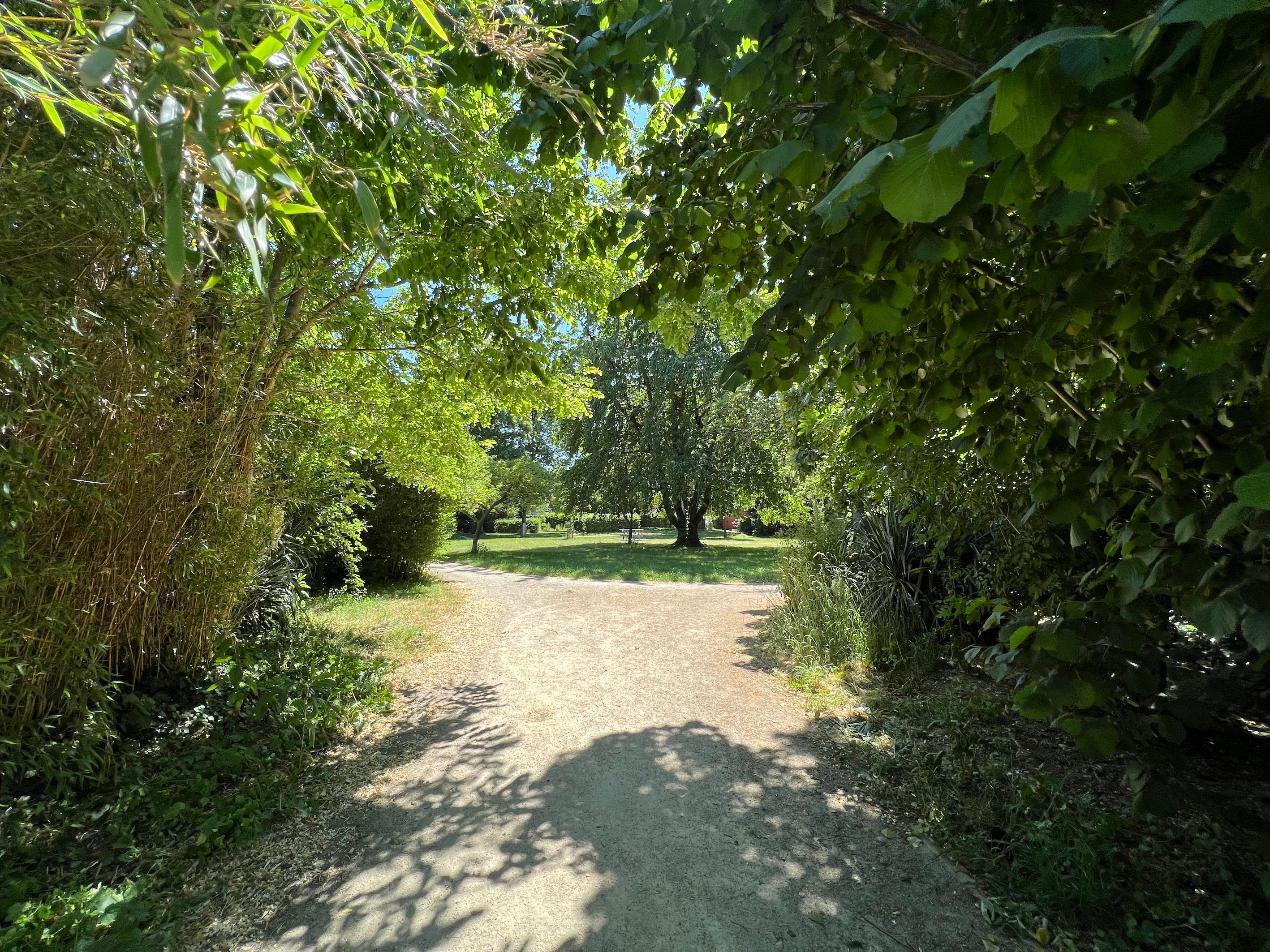 Prachtig gelijkvloersapp met 2 slpks én zicht op Park Petry! foto 11