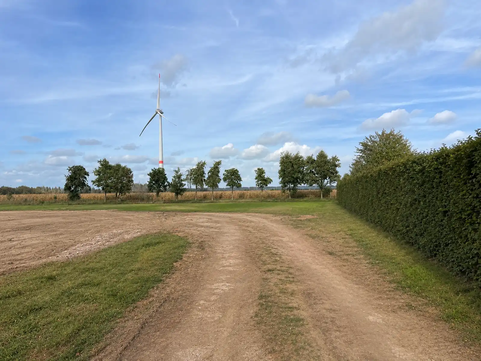 Energiezuinig wonen in het groen foto 4
