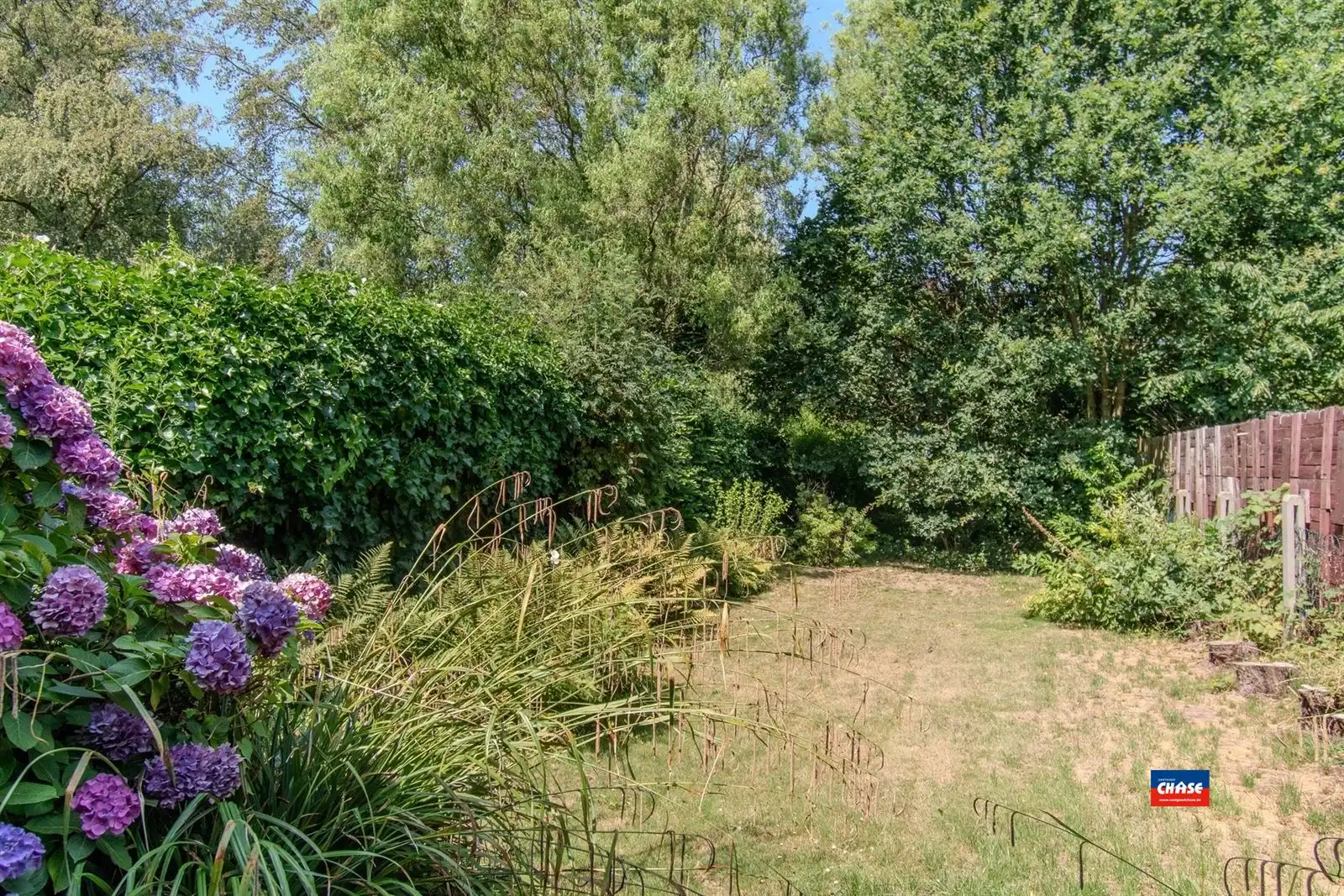 Rustig gelegen Bel-étage met drie slaapkamers, oprit, garage en een grote tuin  foto 6