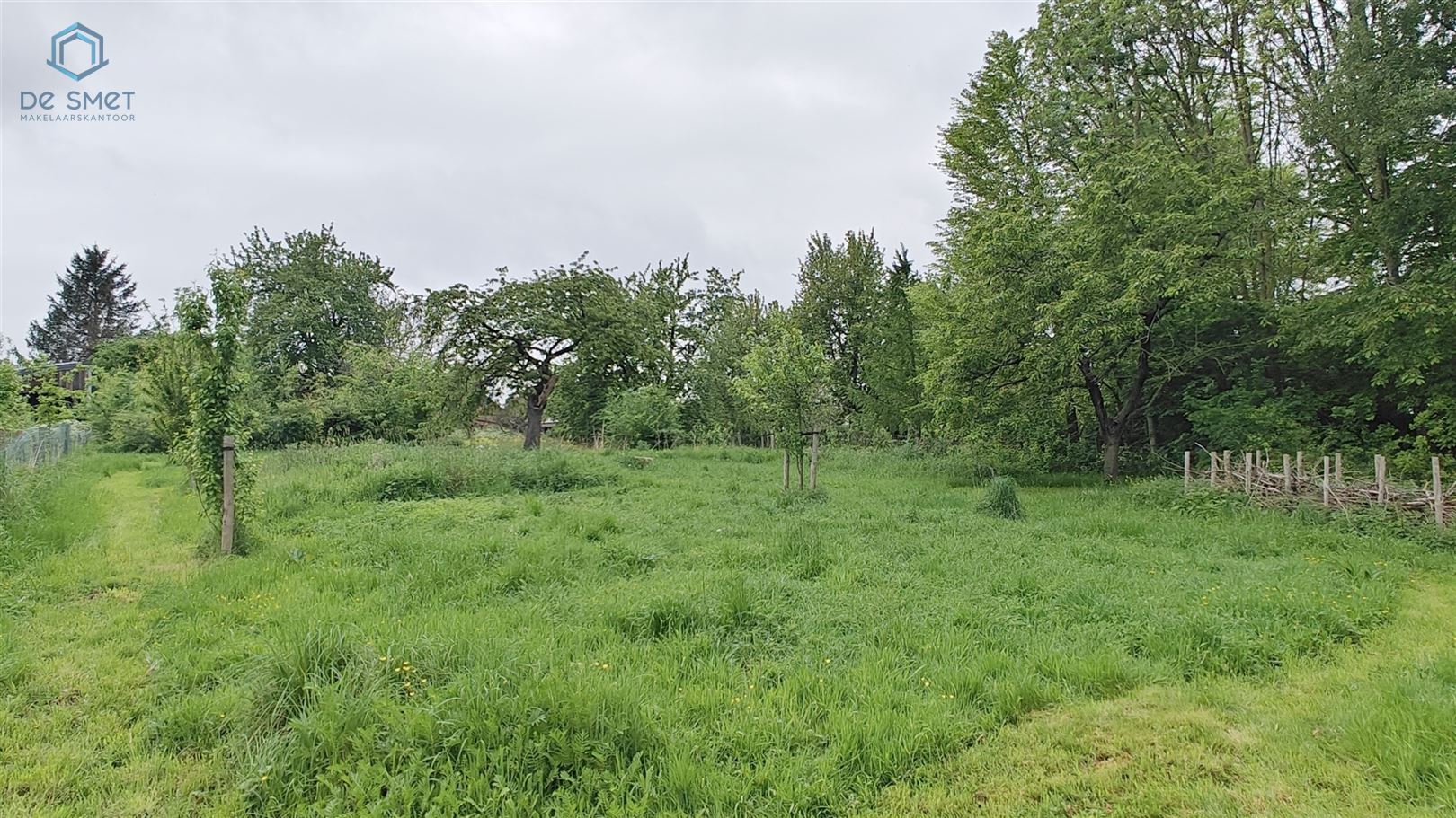 De verborgen oase van rust in het Pajottenland  foto 15