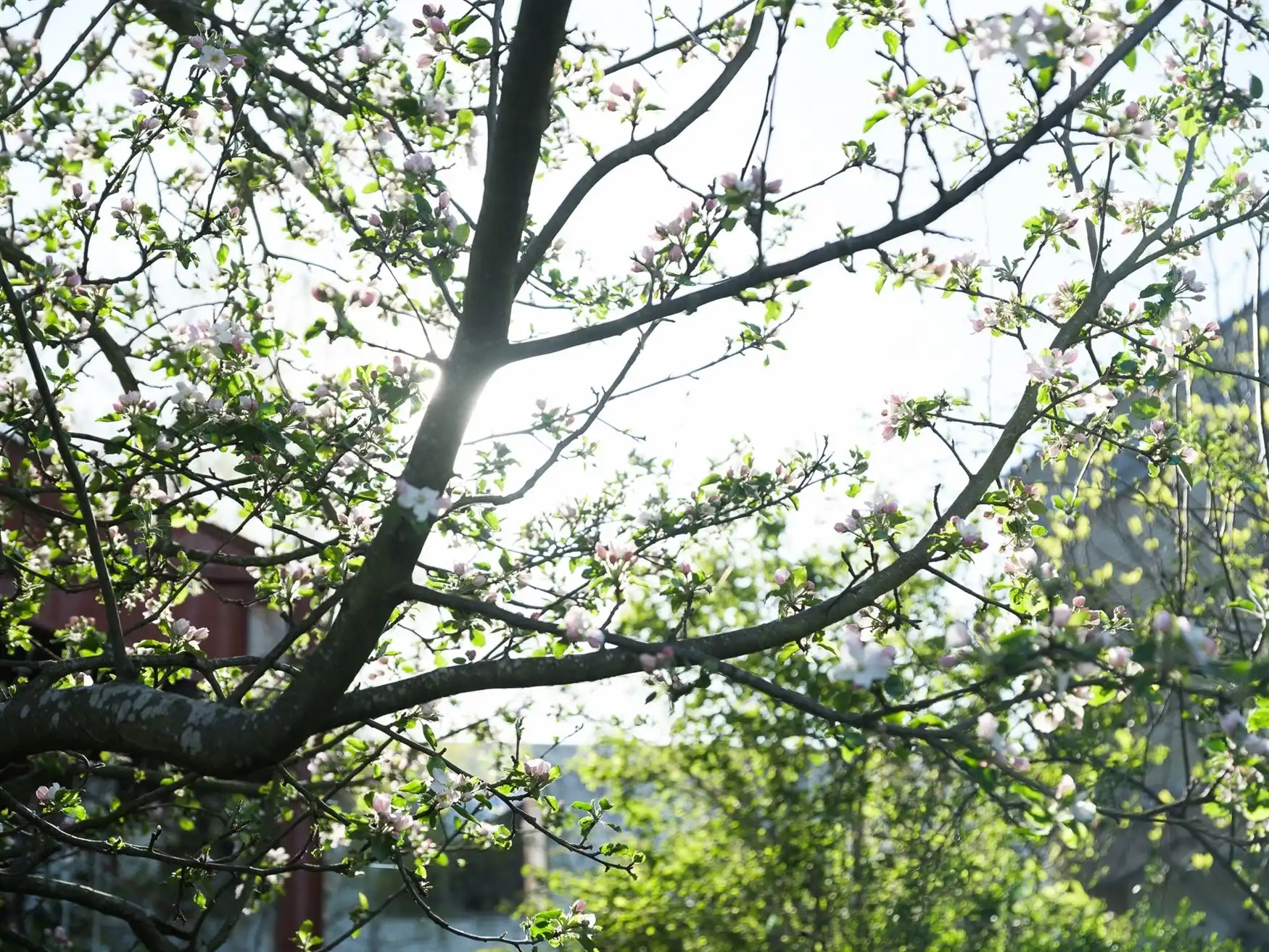 107 m² duplex penthouse met 2 ruime zonterrassen foto 27