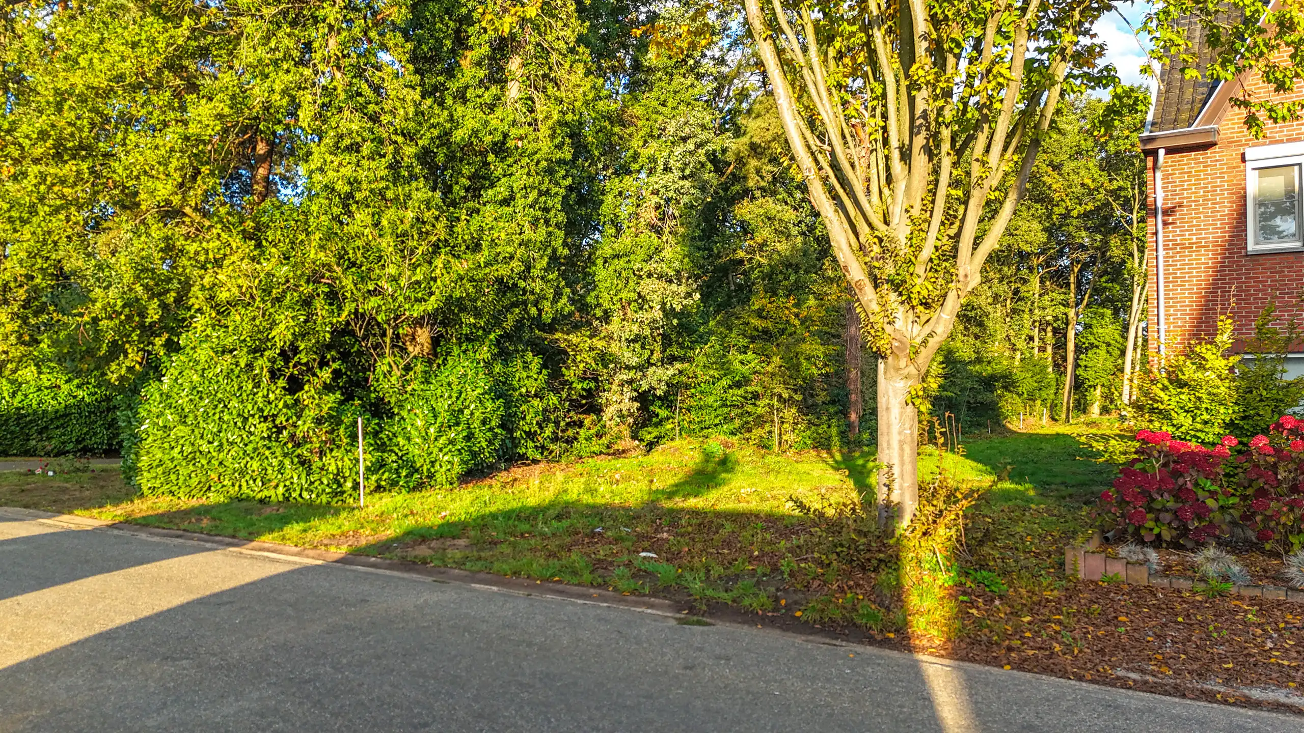 Bouwgrond voor HOB met vergunde plannen in Heusden-Zolder! foto 4
