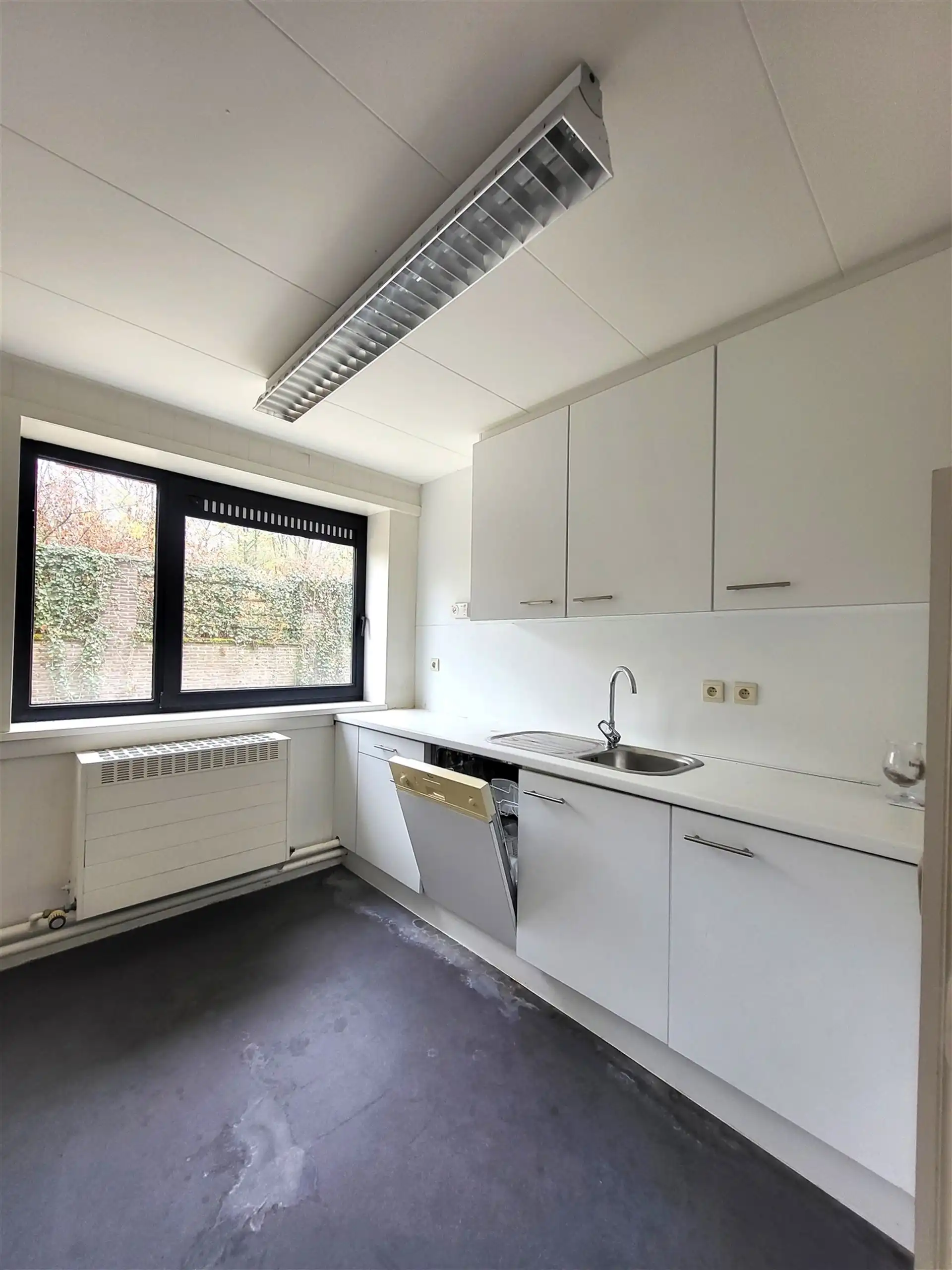 Villa met professionele opslagruimte, kelder en kantoorruimtes. foto 26