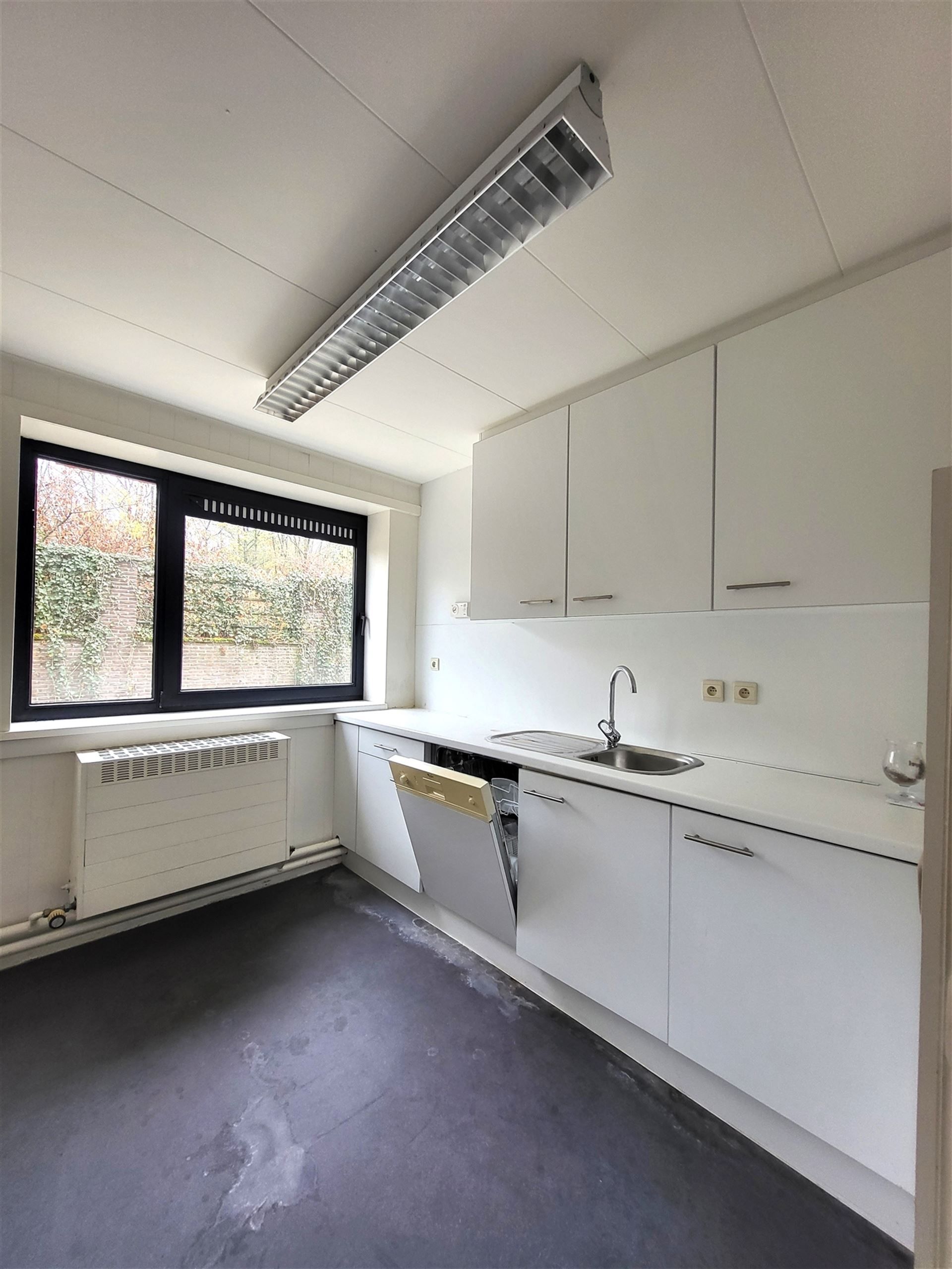 Villa met professionele opslagruimte, kelder en kantoorruimtes. foto 26