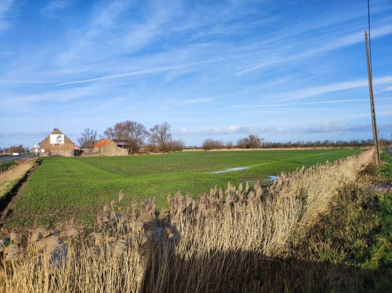 Hoeve met bijgebouwen foto 6