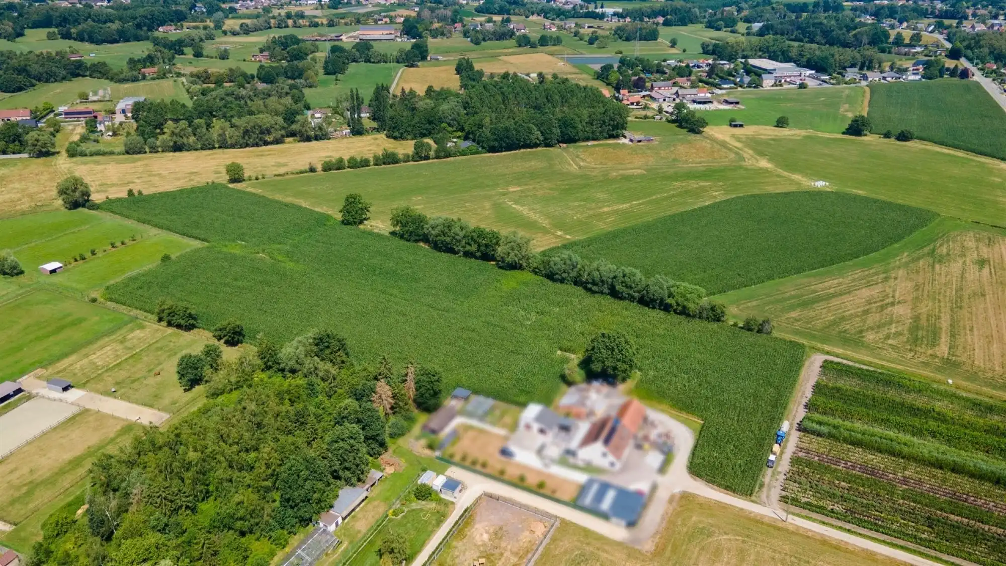 Mooi perceel landbouwgrond van 7.043 m² te Schriek foto 2