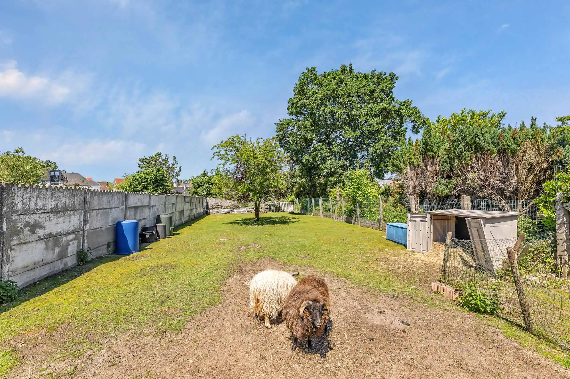 Instapklare woning met 3 slpks, ruime tuin en garage foto 22