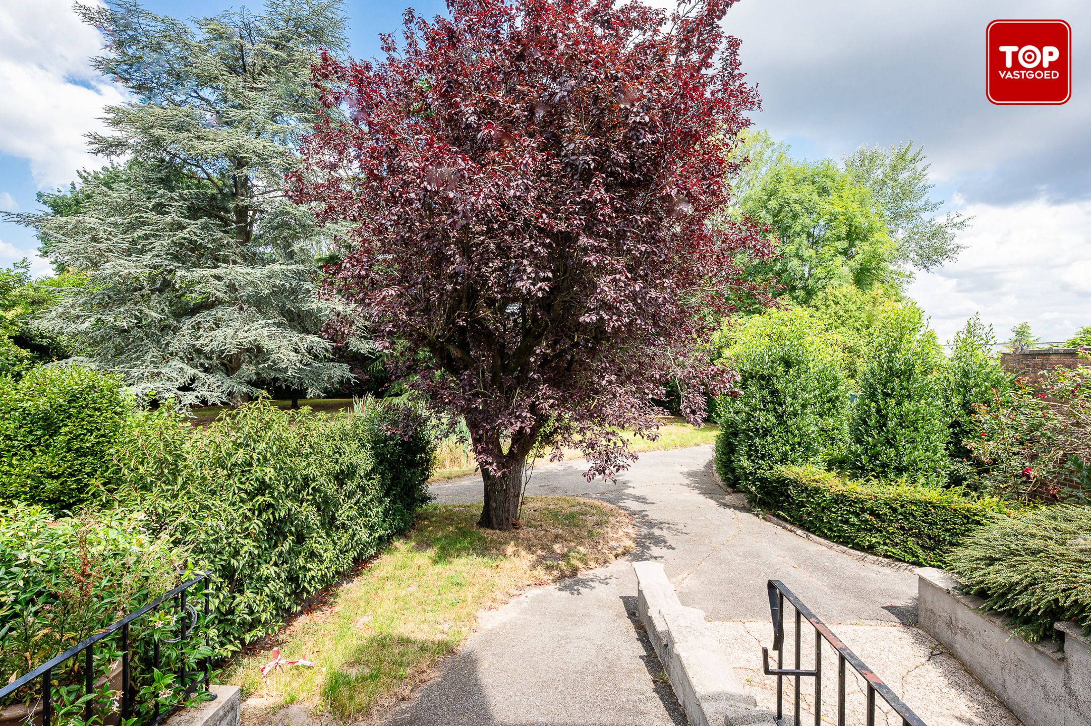 Vernieuwde woning met 4 slaapkamers en gunstige EPC score foto 3