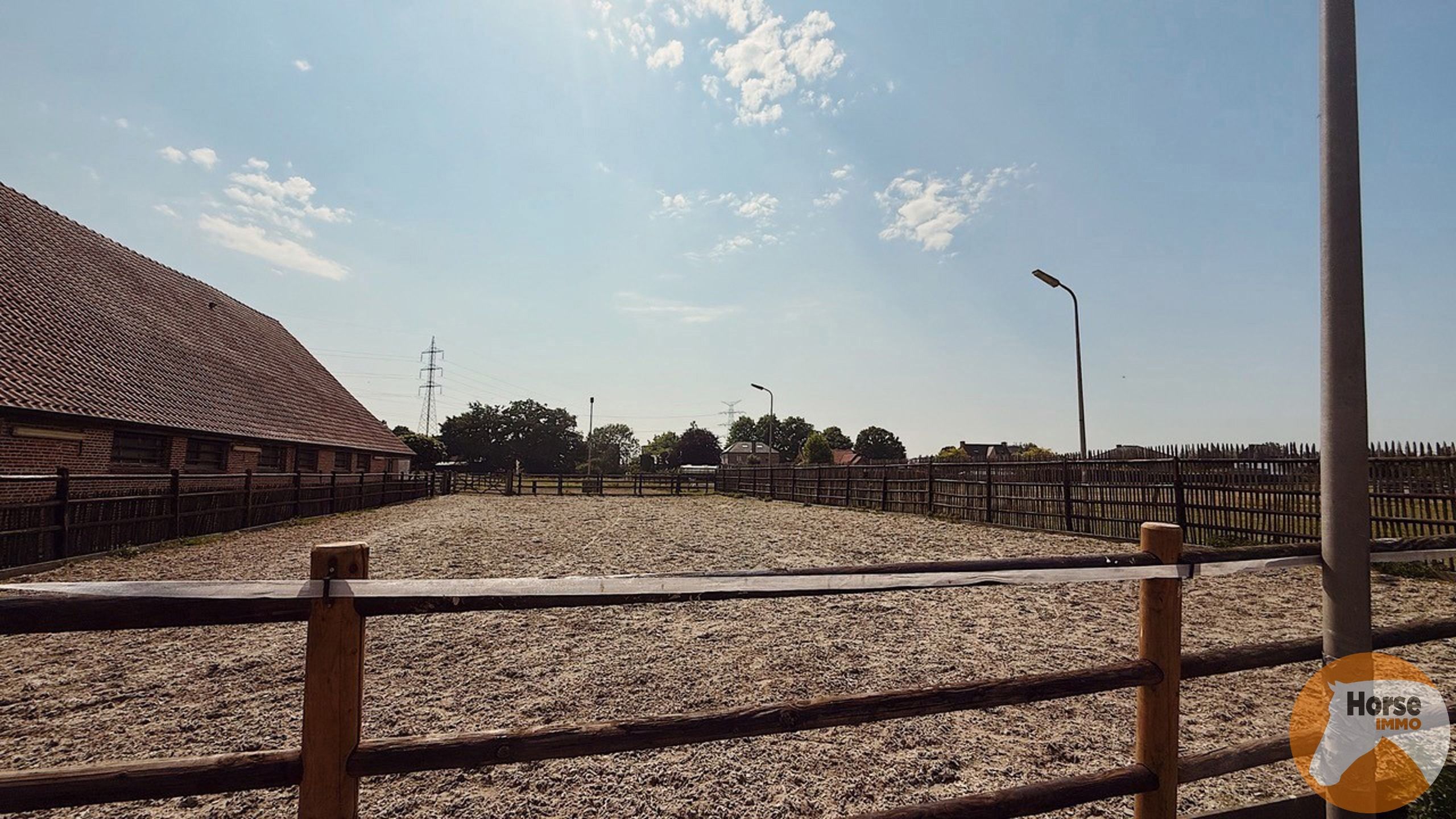 REET – 14 paardenstallen, buitenpiste en weides foto 6