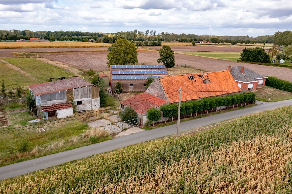 Hoeve op circa 10 ha te koop te Maldegem foto 8