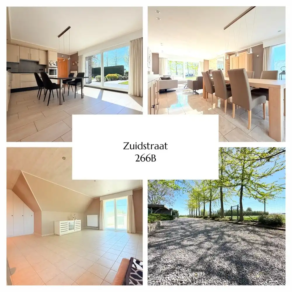 Unieke eigendom met twee woningen én PANORAMISCH zicht op een uitzonderlijk perceel van 7.936 m² foto 5