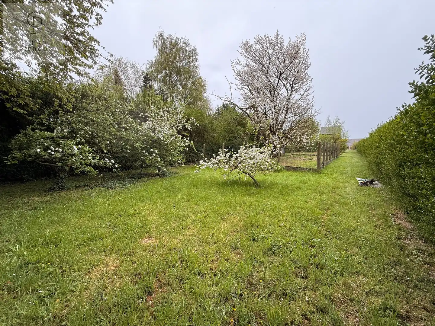 Eigentijdse woonst met ruime tuin foto 39