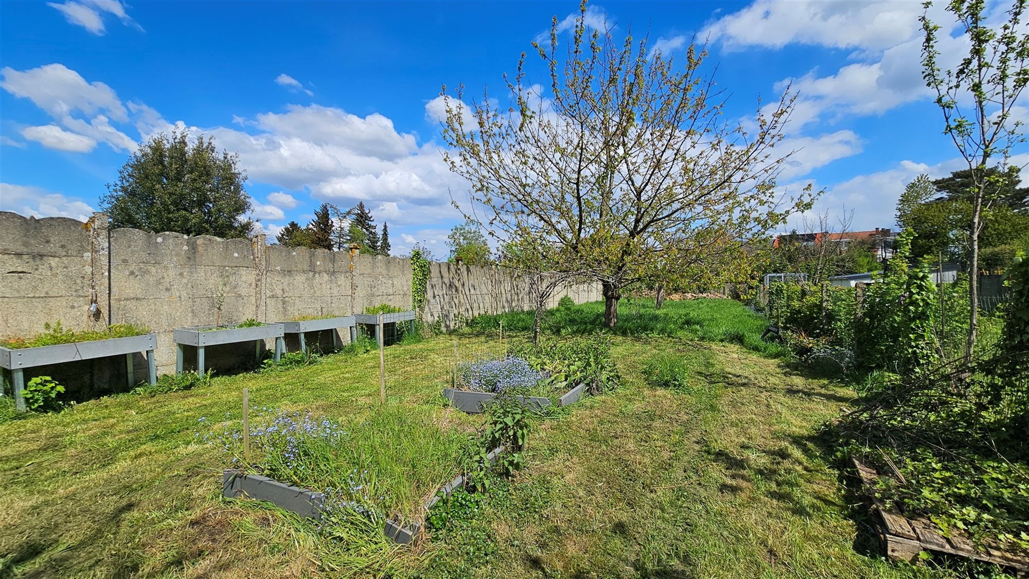 Aangename drie-gevel en bel-étage woning met grote tuin foto 22