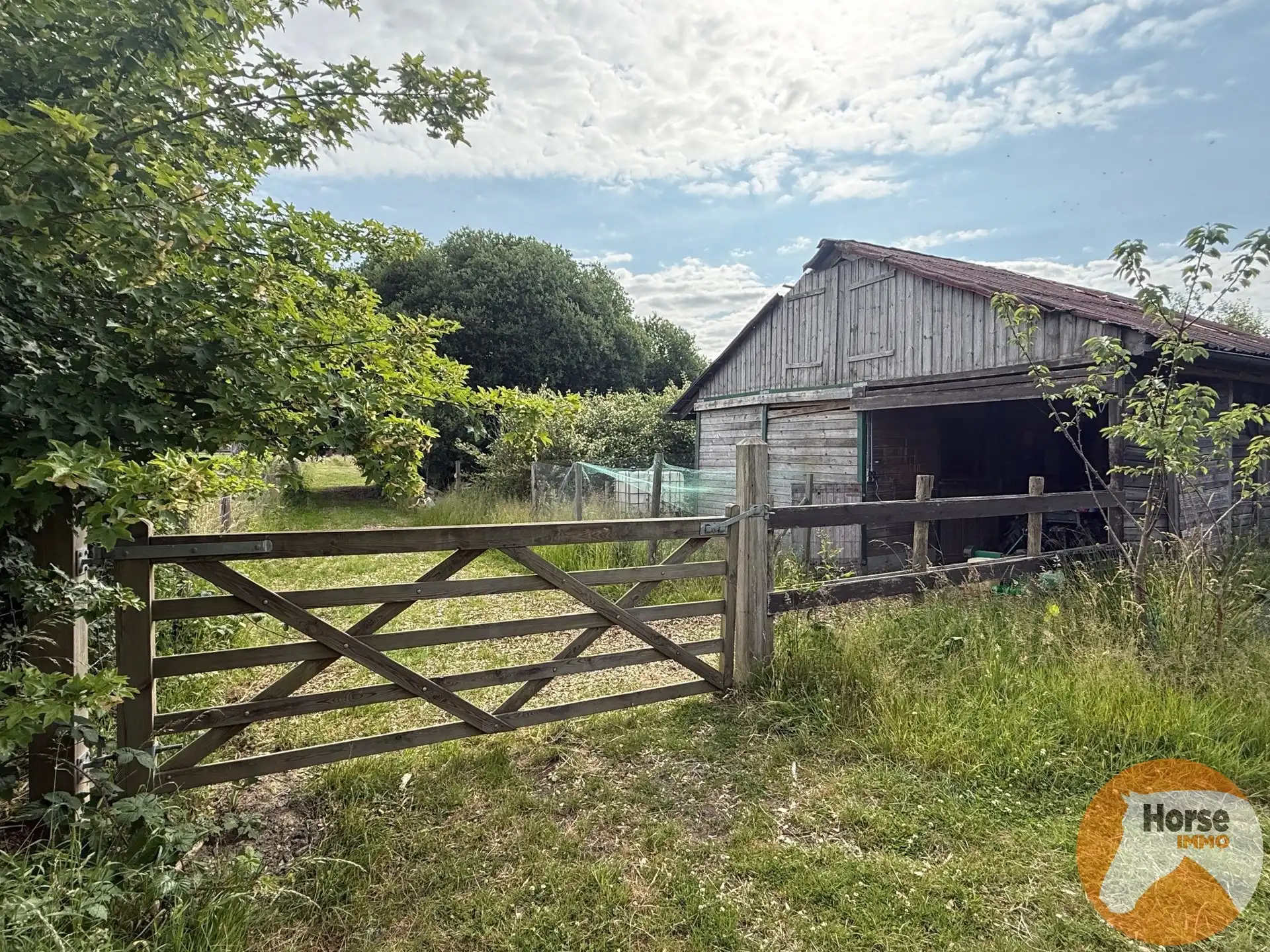 HUMBEEK - Droomplek voor paarden met weide, stallen en piste foto 4