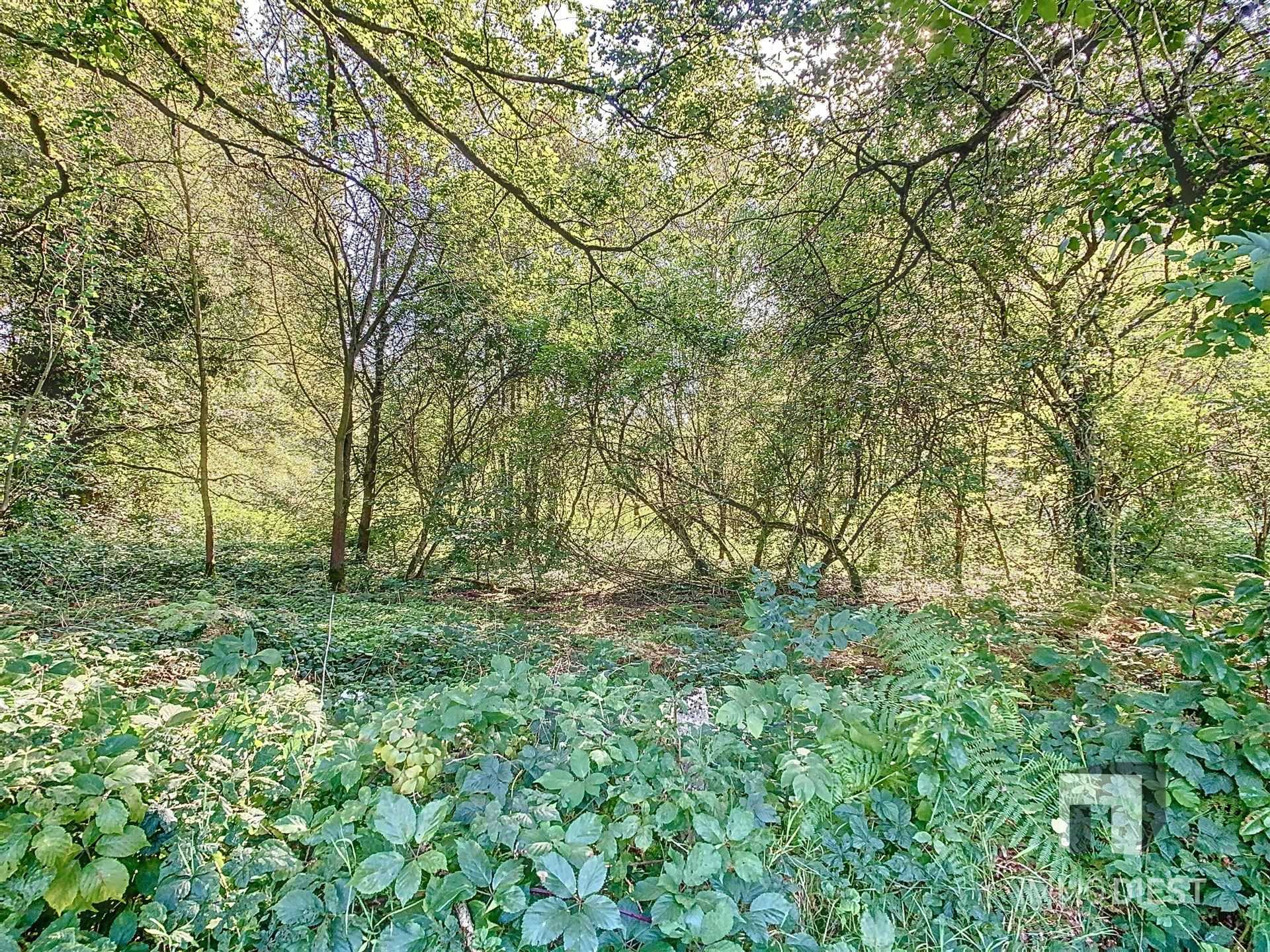 Grond met een oppervlakte van 79a 45ca - natuurgebied foto 5