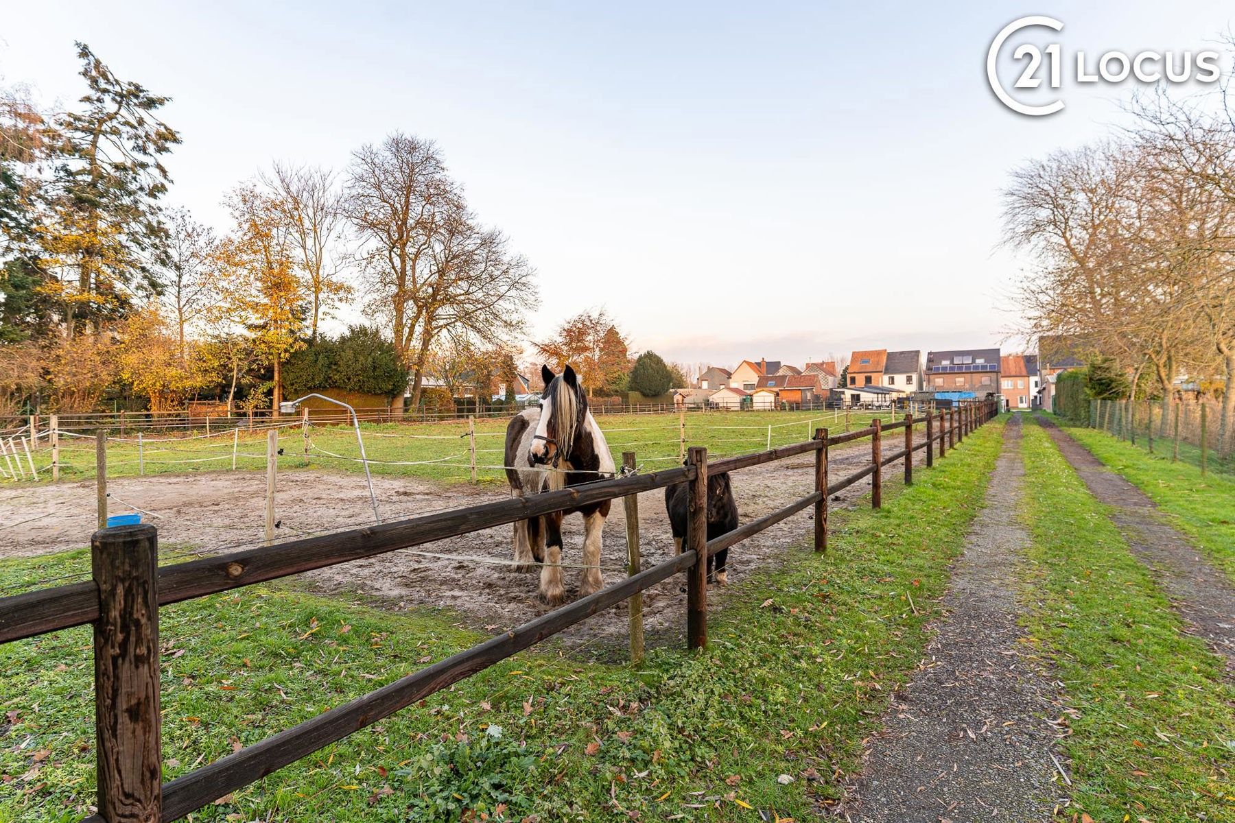 Op te frissen woning met grote weide , unieke kans in Beveren foto 15