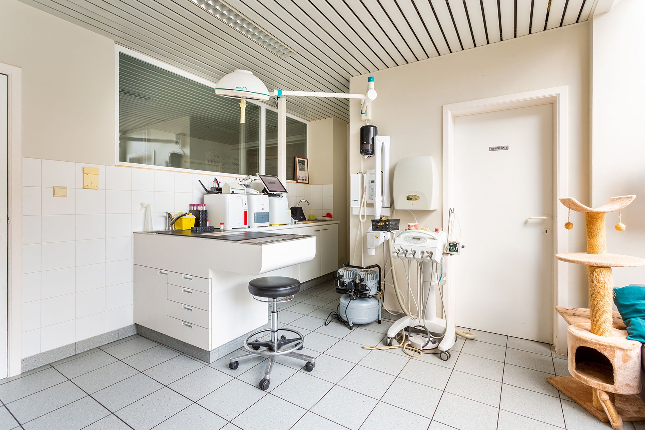 Ruim handelsgelijkvloers op toplocatie te Hove centrum foto 11