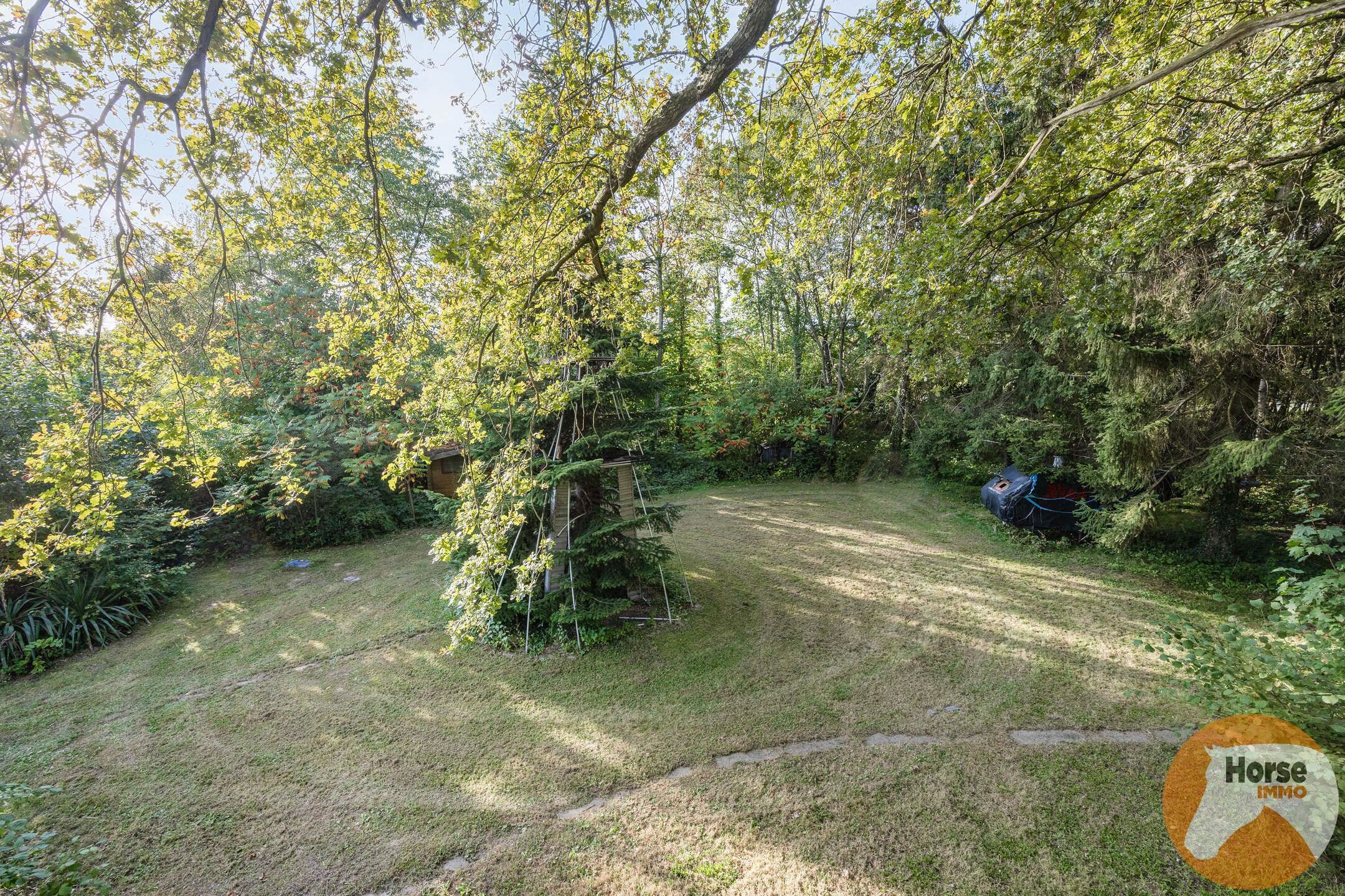 VELTEM-BEISEM - Woning met weilanden en eigen bos op 3ha32 foto 18