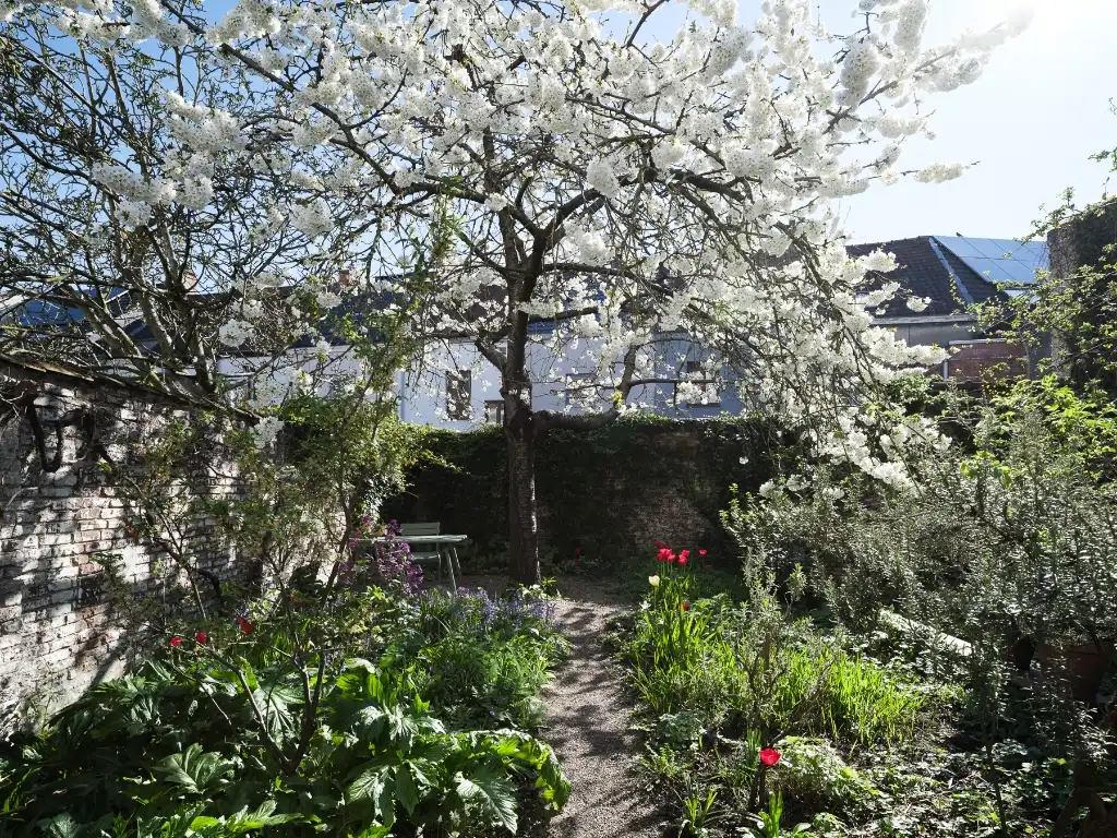 Karaktervolle architectenwoning met 3 slaapkamers en een uitzonderlijke tuin in Ledeberg. foto 4