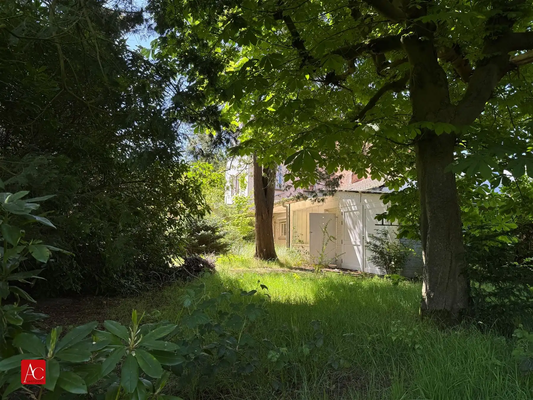 Renovatiewoning op ruim perceel of projectgrond foto 8