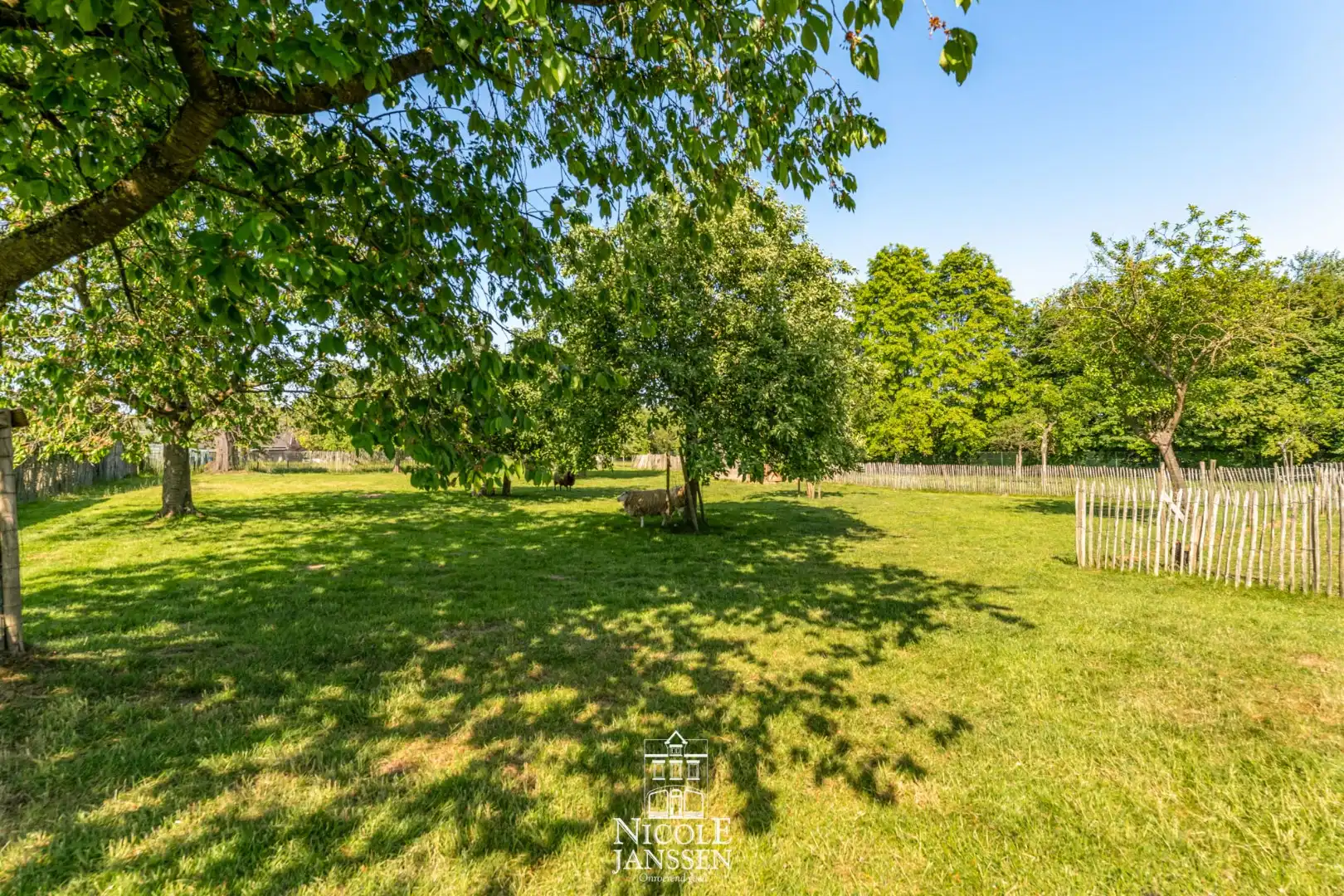 Gerenoveerde vierkantshoeve foto 21