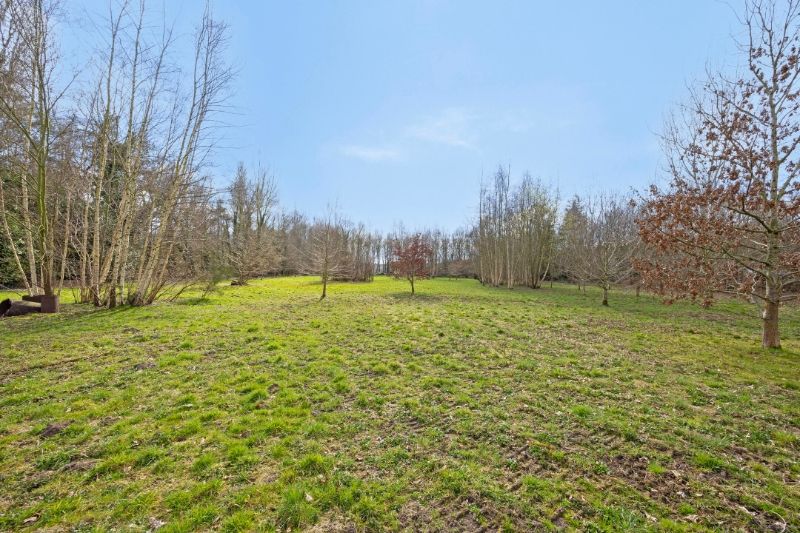 TE KOOP – Uniek stuk bouwgrond in de bossen van Lembeke – >15.000 m² foto 6