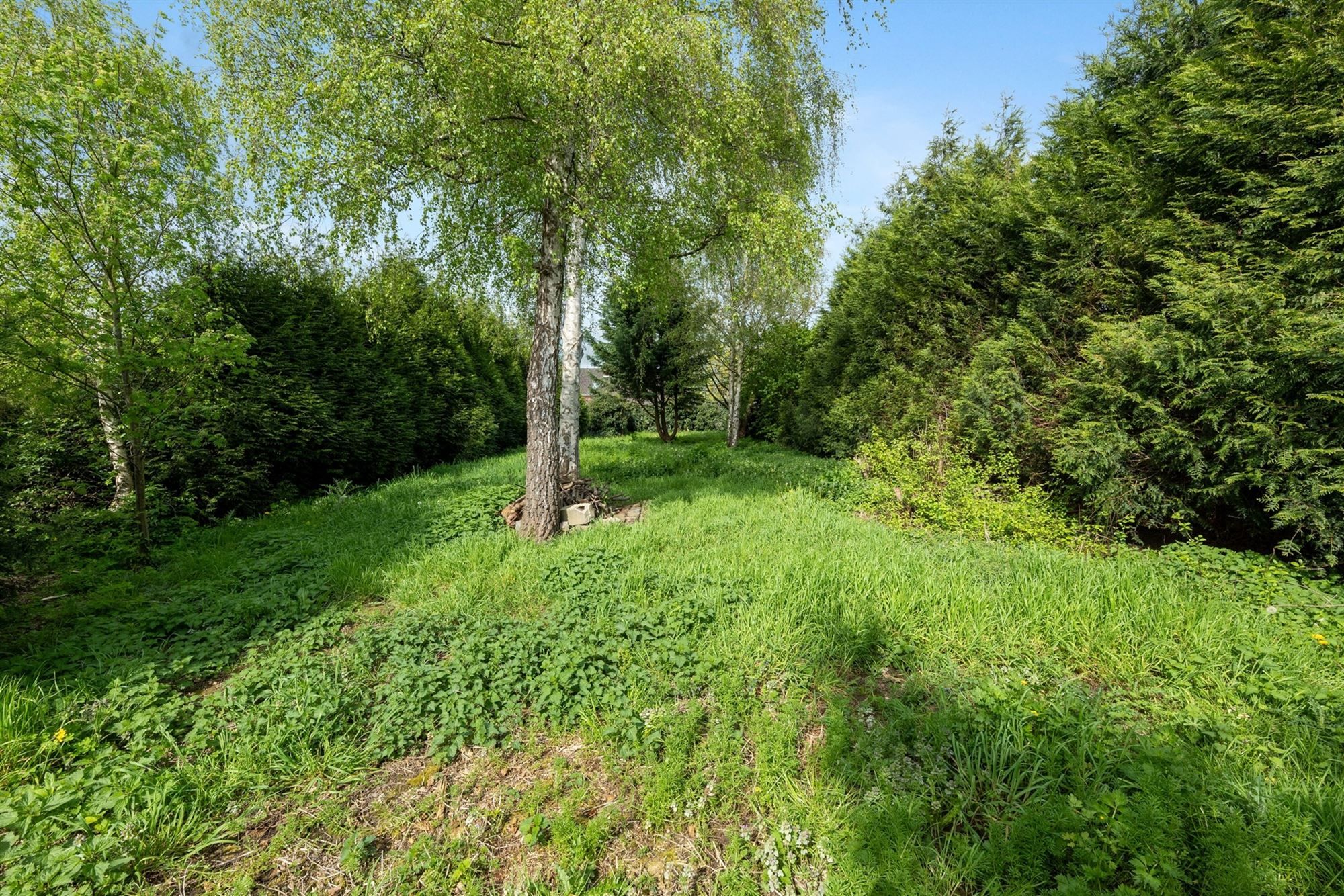 VOLLEDIG GERENOVEERDE EN INSTAPKLARE WONING MET 3 SLKS IN HET LANDELIJKE ATTENHOVEN foto 11