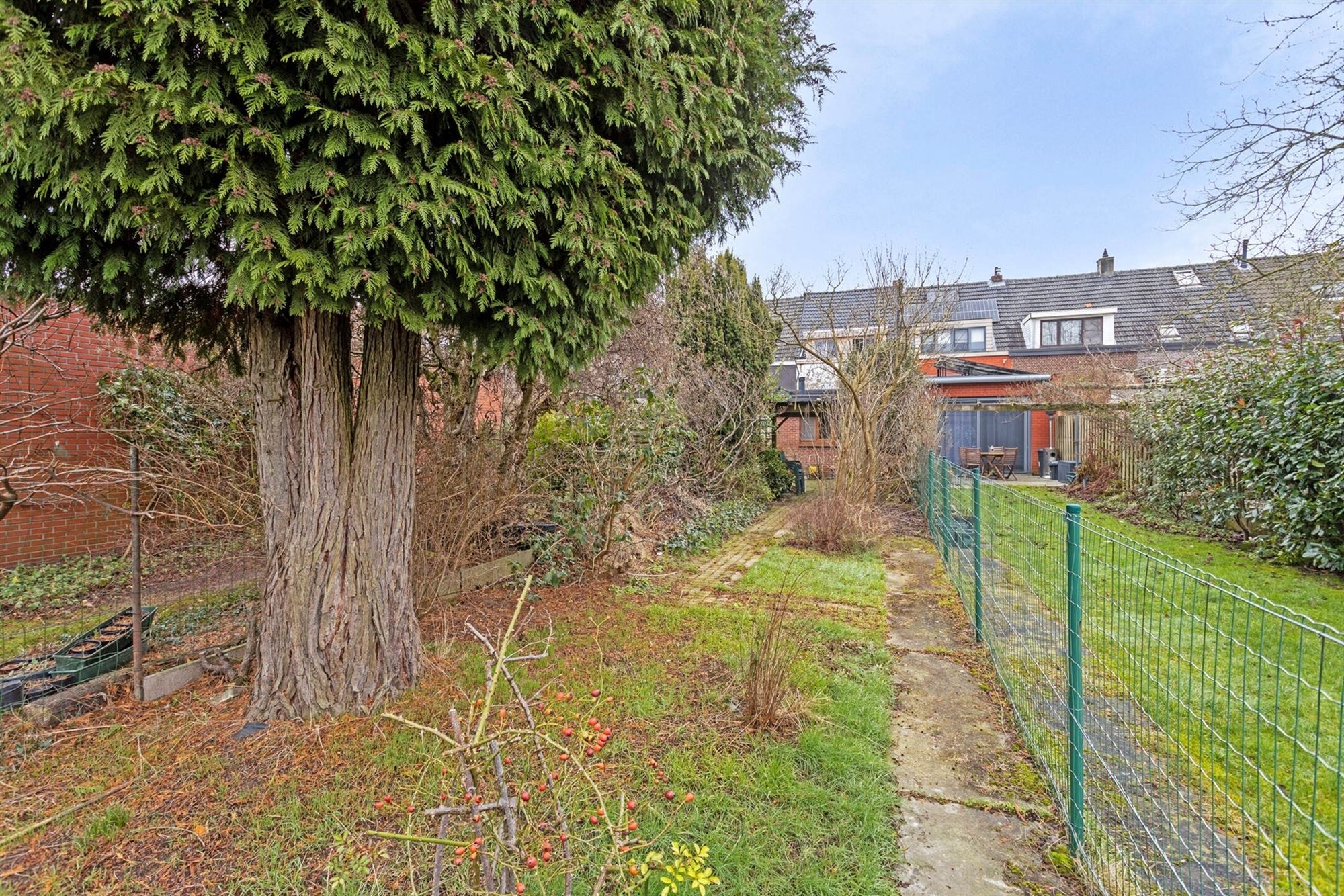 Te renoveren huis met tuin (266m²) grens Hove Mortsel foto 14