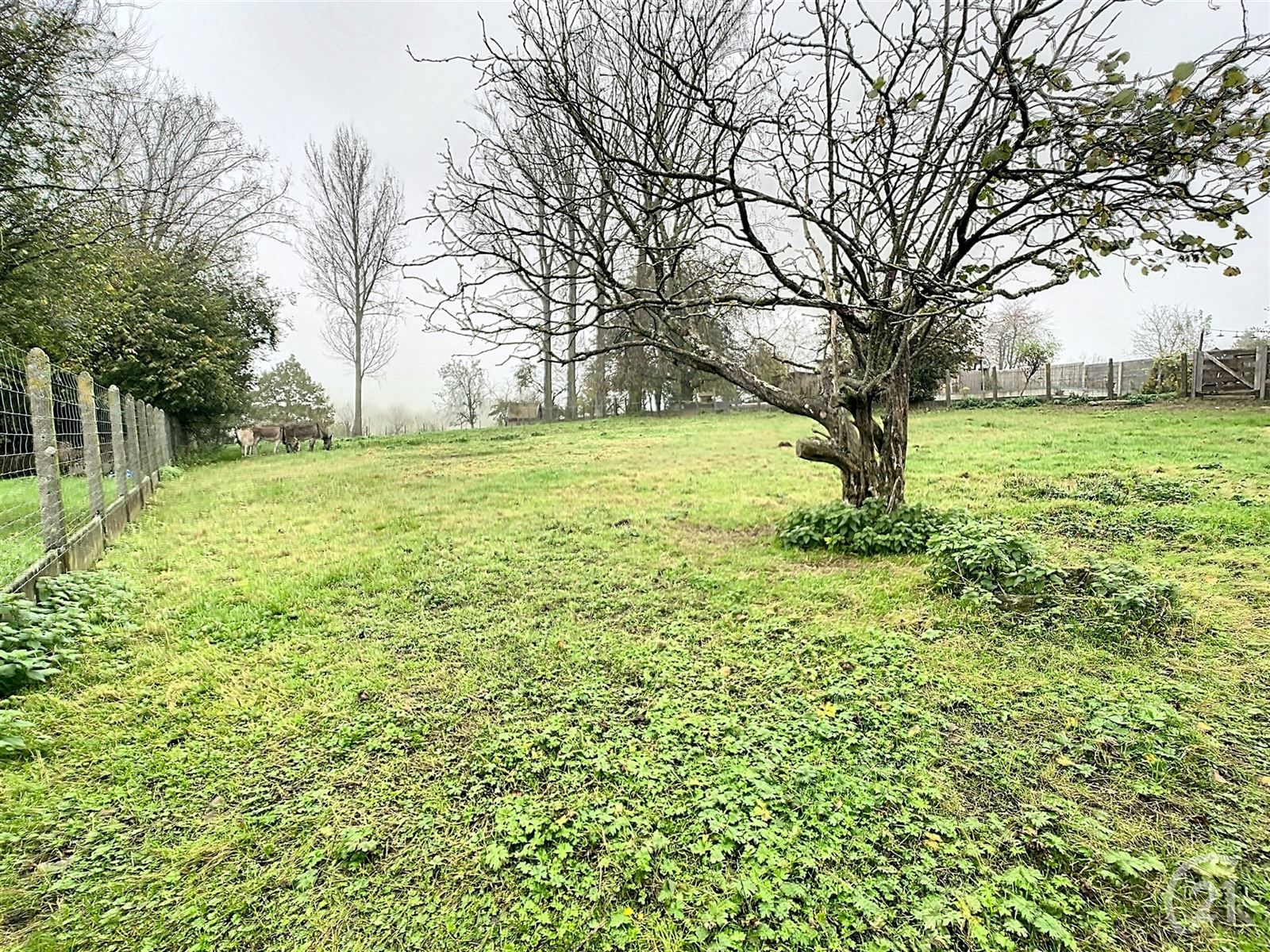 Te renoveren gezinswoning met tuin en weide op 35are40 foto 5