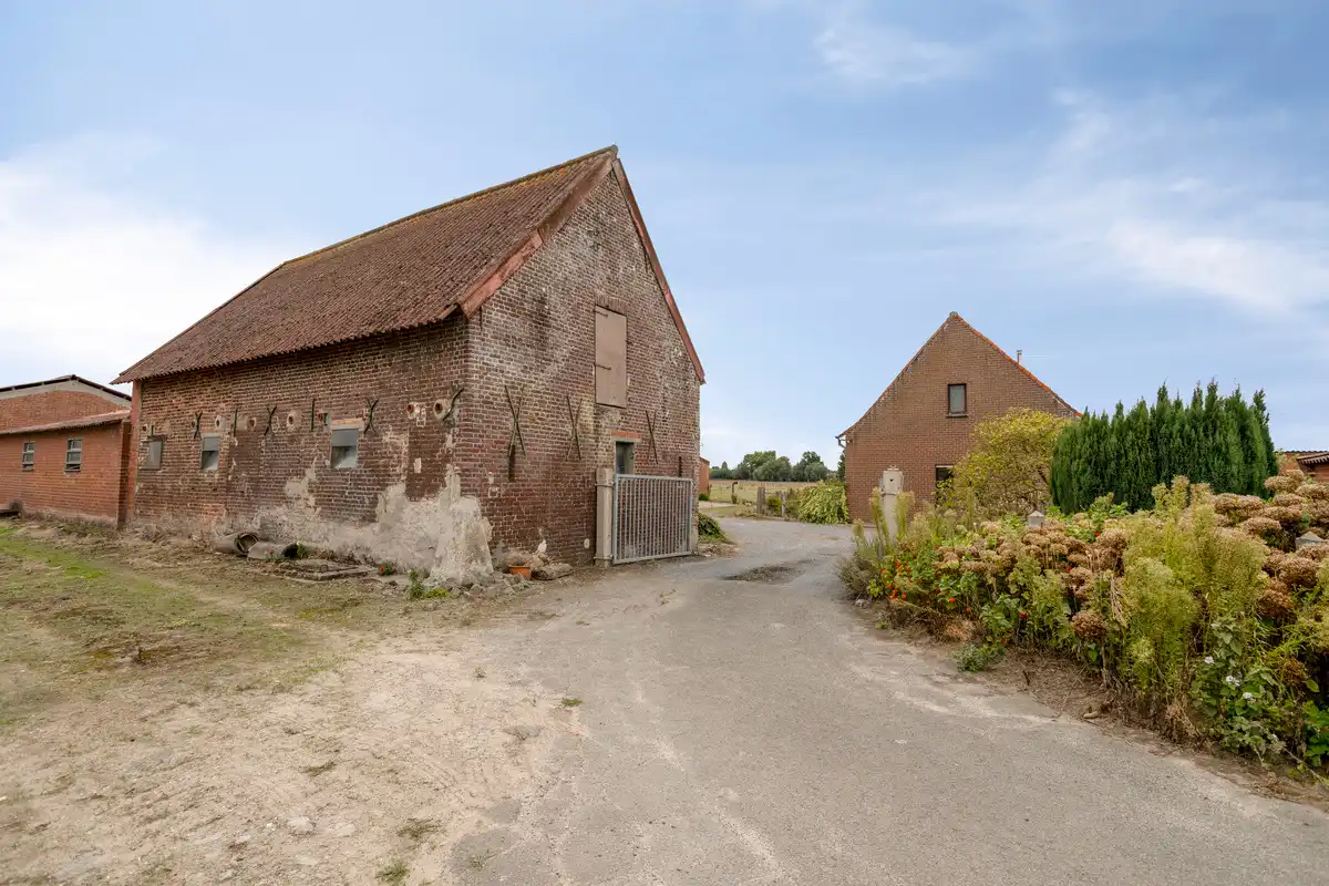 Authentieke hoeve met bijgebouwen in Baliebrugge op een oppervlakte van 7937 m² foto 5
