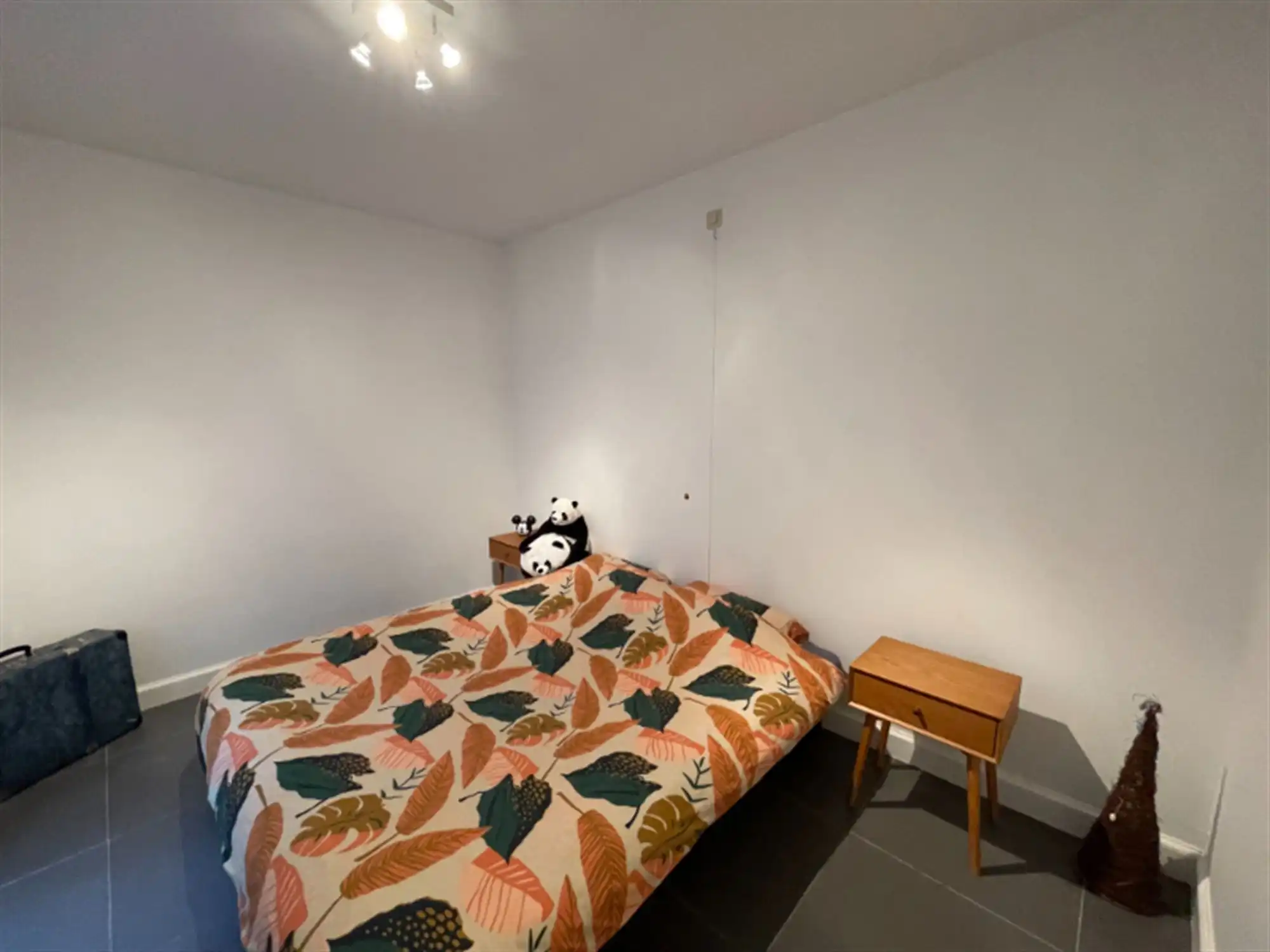 Appartement met twee grote terrasen foto 7
