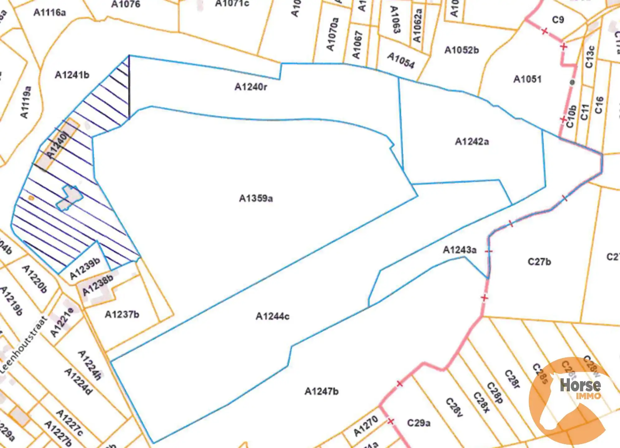 ZOTTEGEM - +/- 8HA Weide en +/-2,8HA bos foto 2